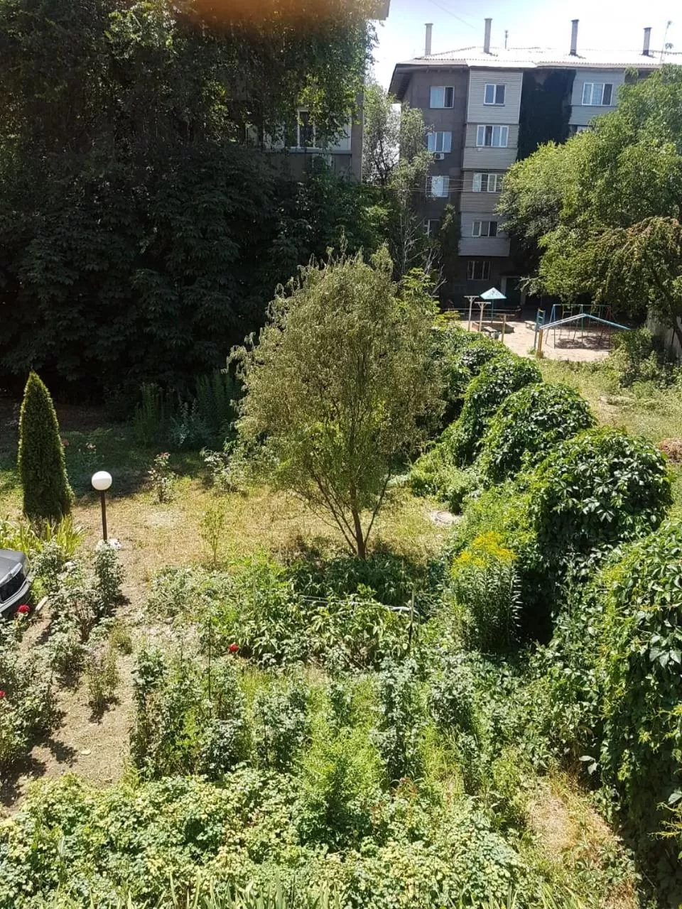 Area and facilities in Hotel Kezdesu