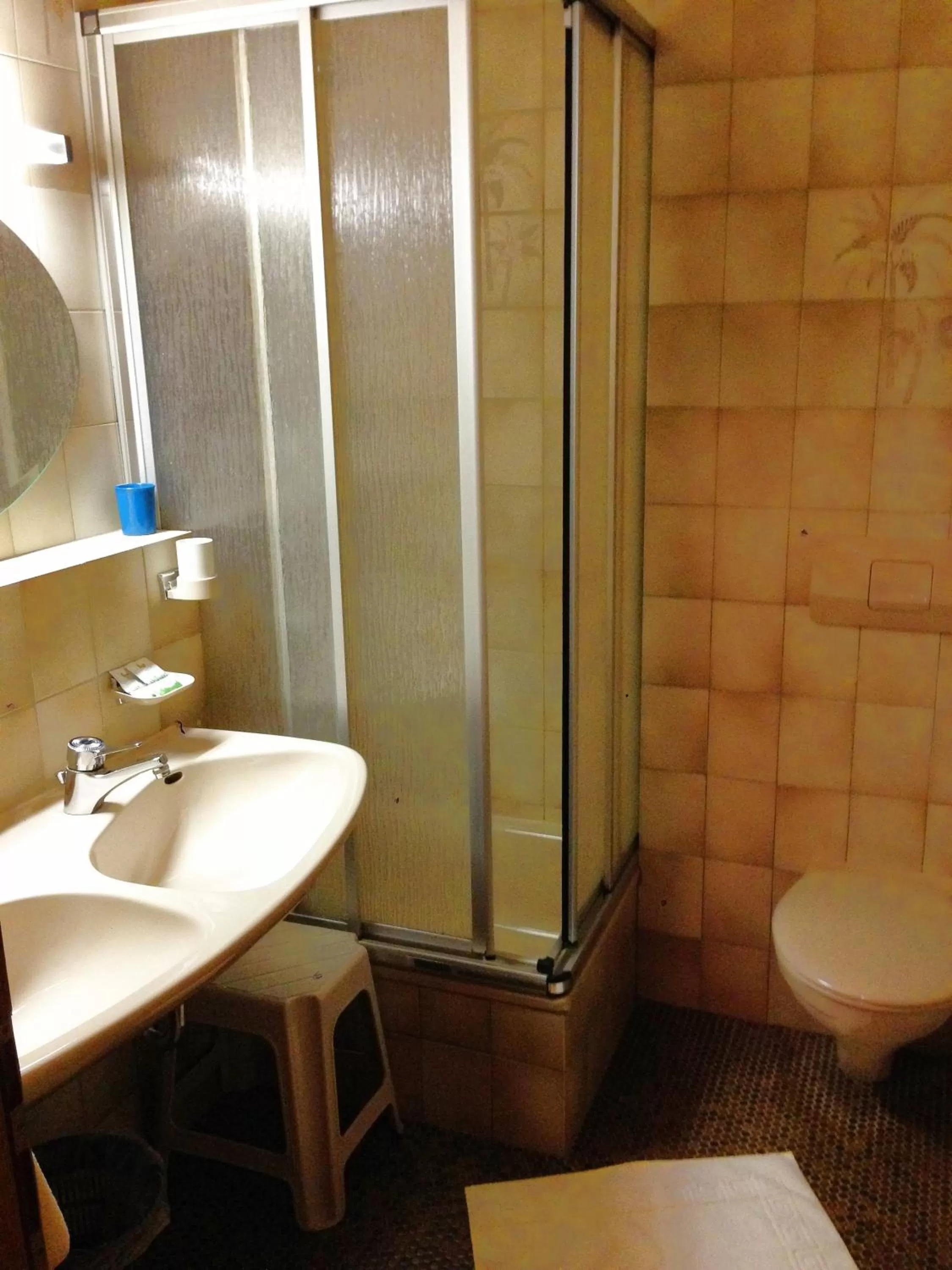 Shower, Bathroom in Beim Haxenwirt