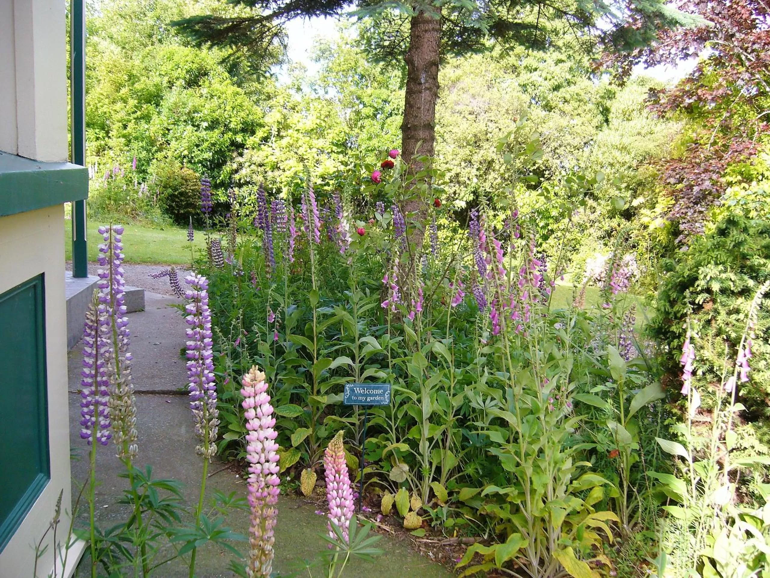 Garden in Forest Manor