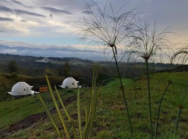 Natural landscape in Ecohotel Monte Tierra Habitaciones y Glamping