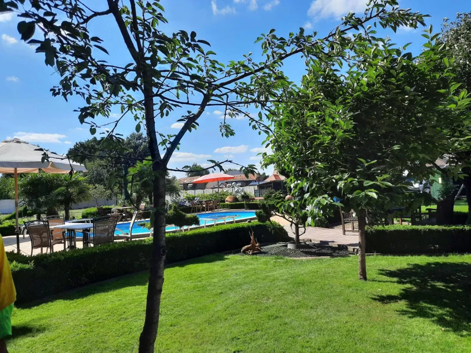 Swimming pool in B&B Casa Roman & Vakantiewoning voor 1 pers tot max 32 personen