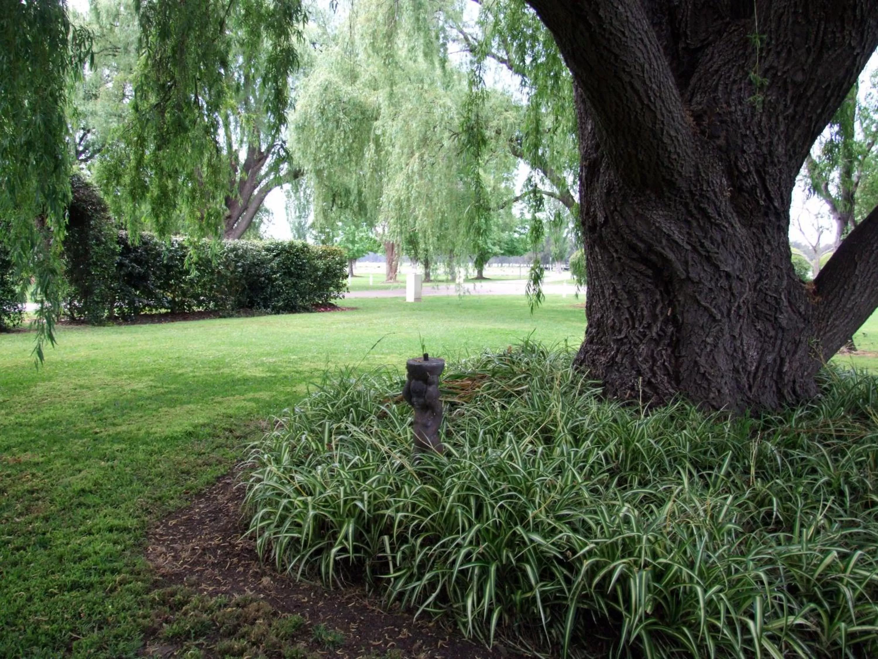 Garden in Moruya Motel
