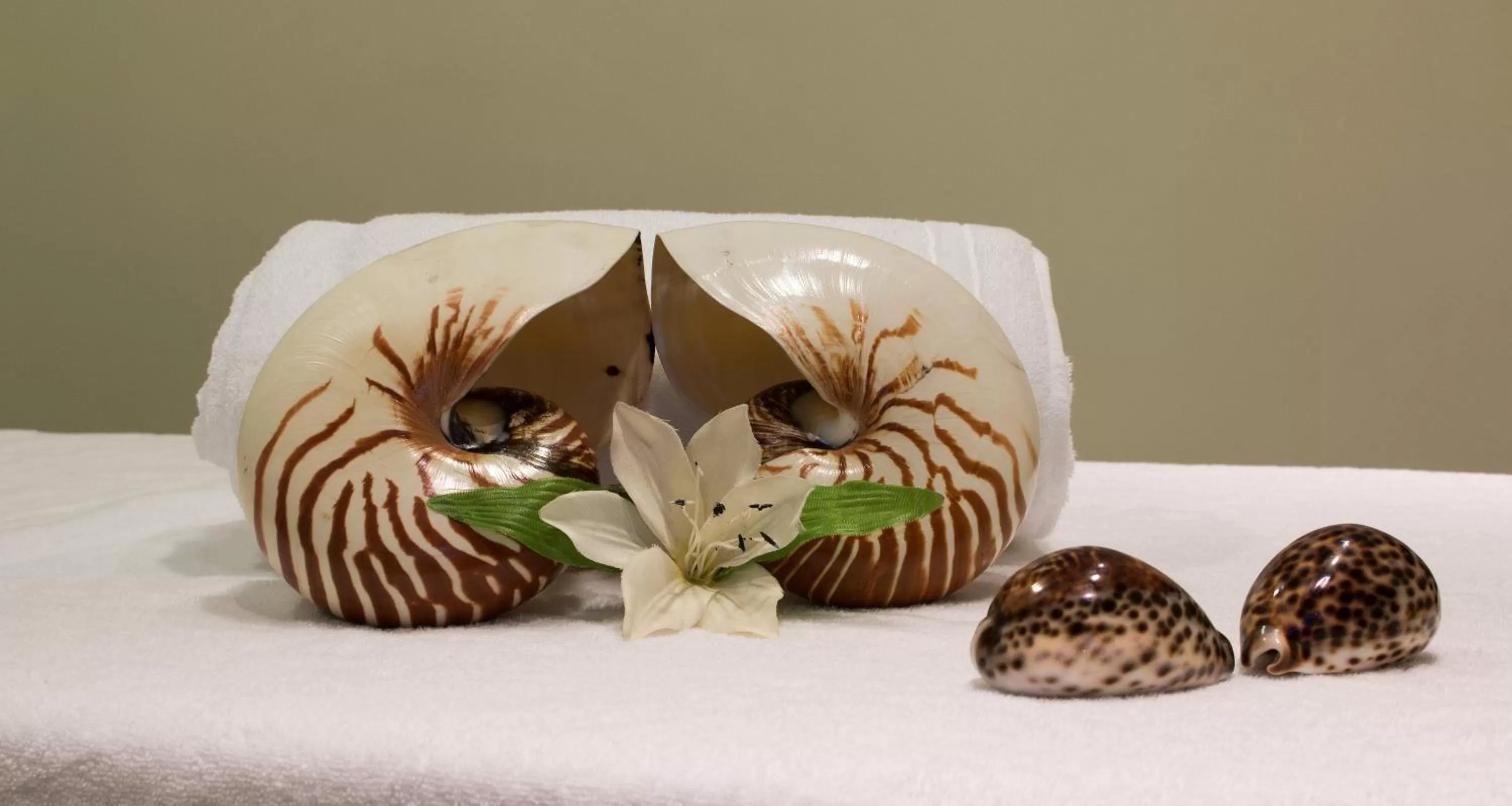 Spa and wellness centre/facilities in Senator Mar Menor Golf & Spa Resort