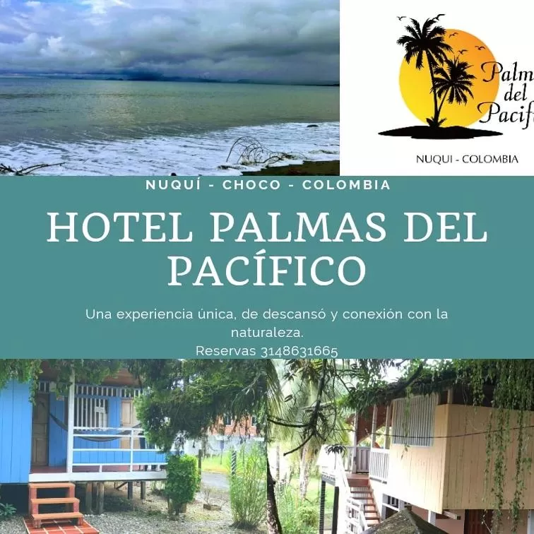 Hotel Palmas del Pacifico
