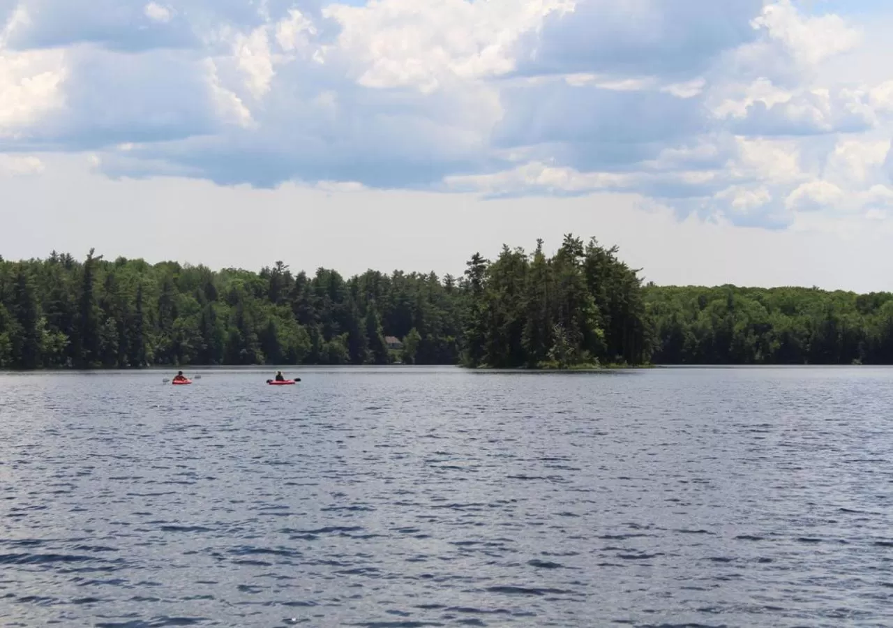 Off site in Maple Hill Farm Inn