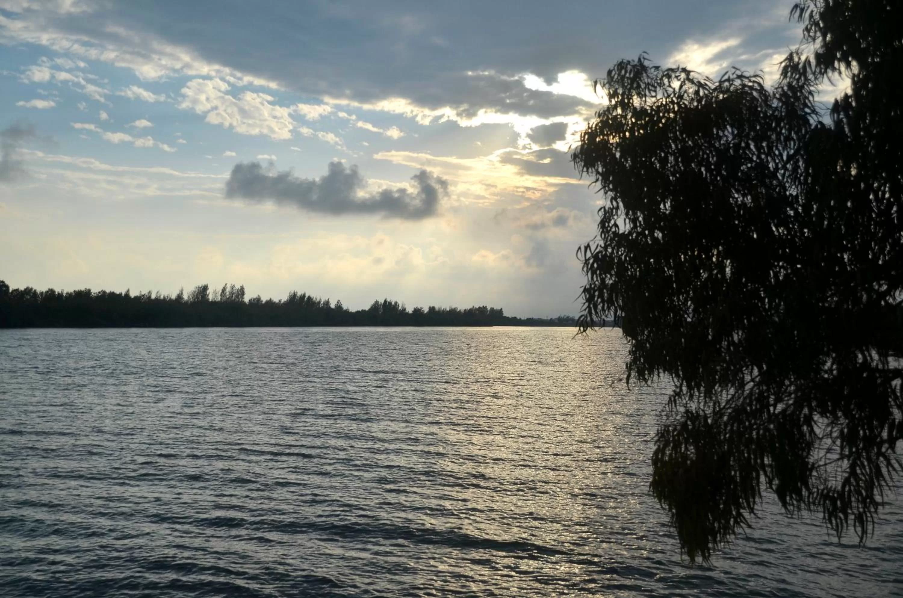 Natural landscape in River Dreams