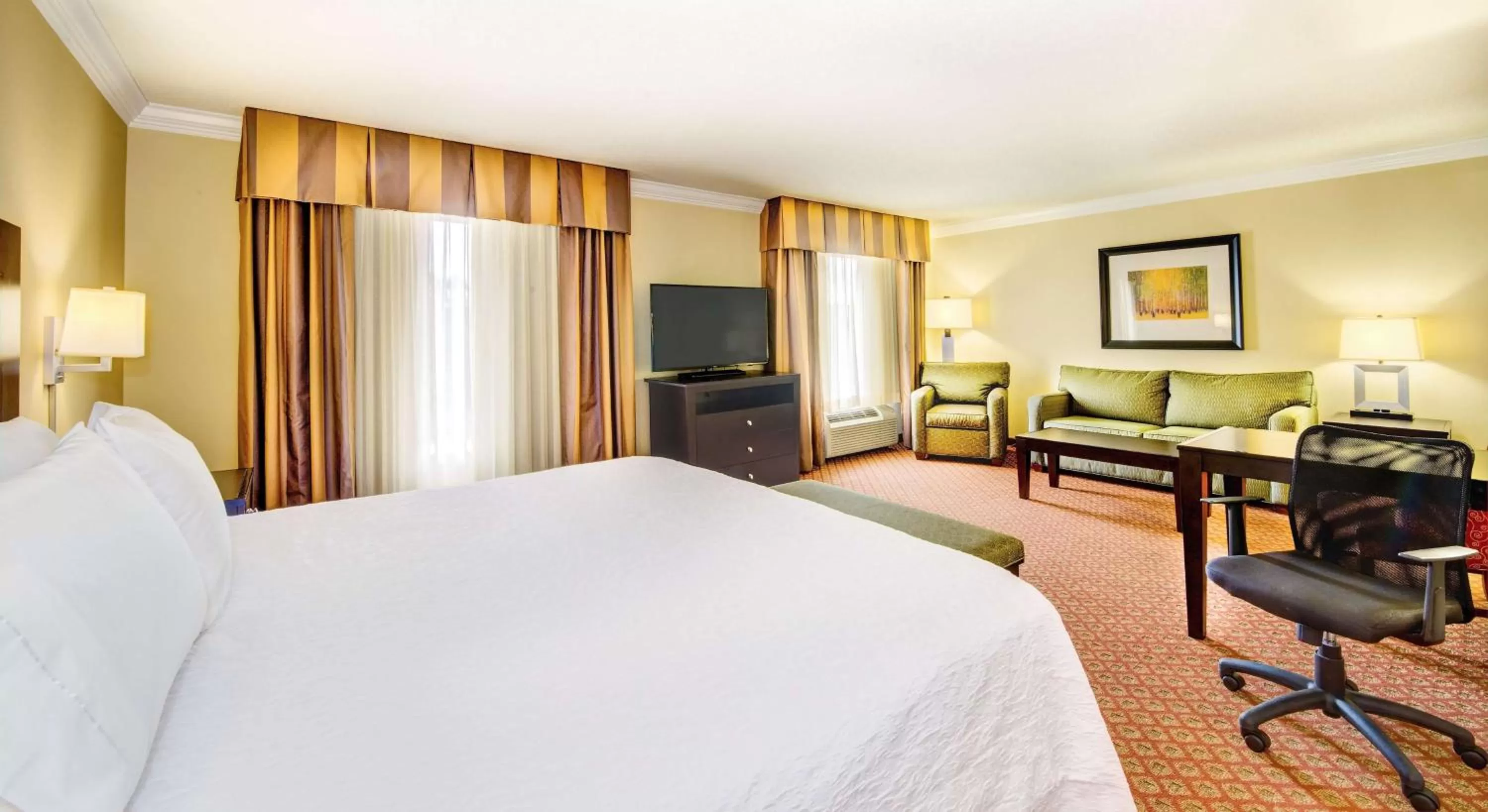 Non-Smoking King Studio Suite in Hampton Inn & Suites Scottsboro