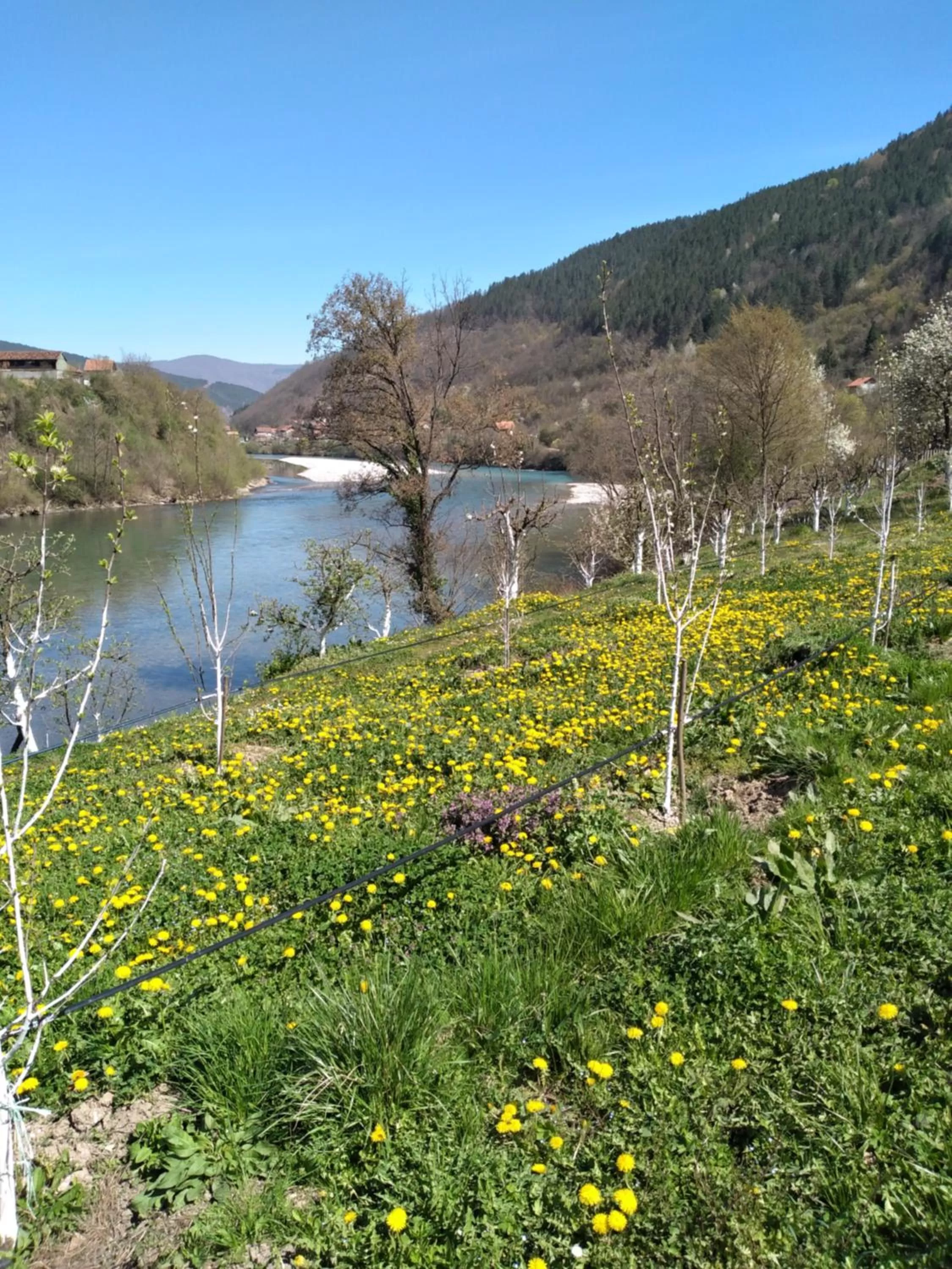 Natural Landscape in Prenoćište na Drini Foča