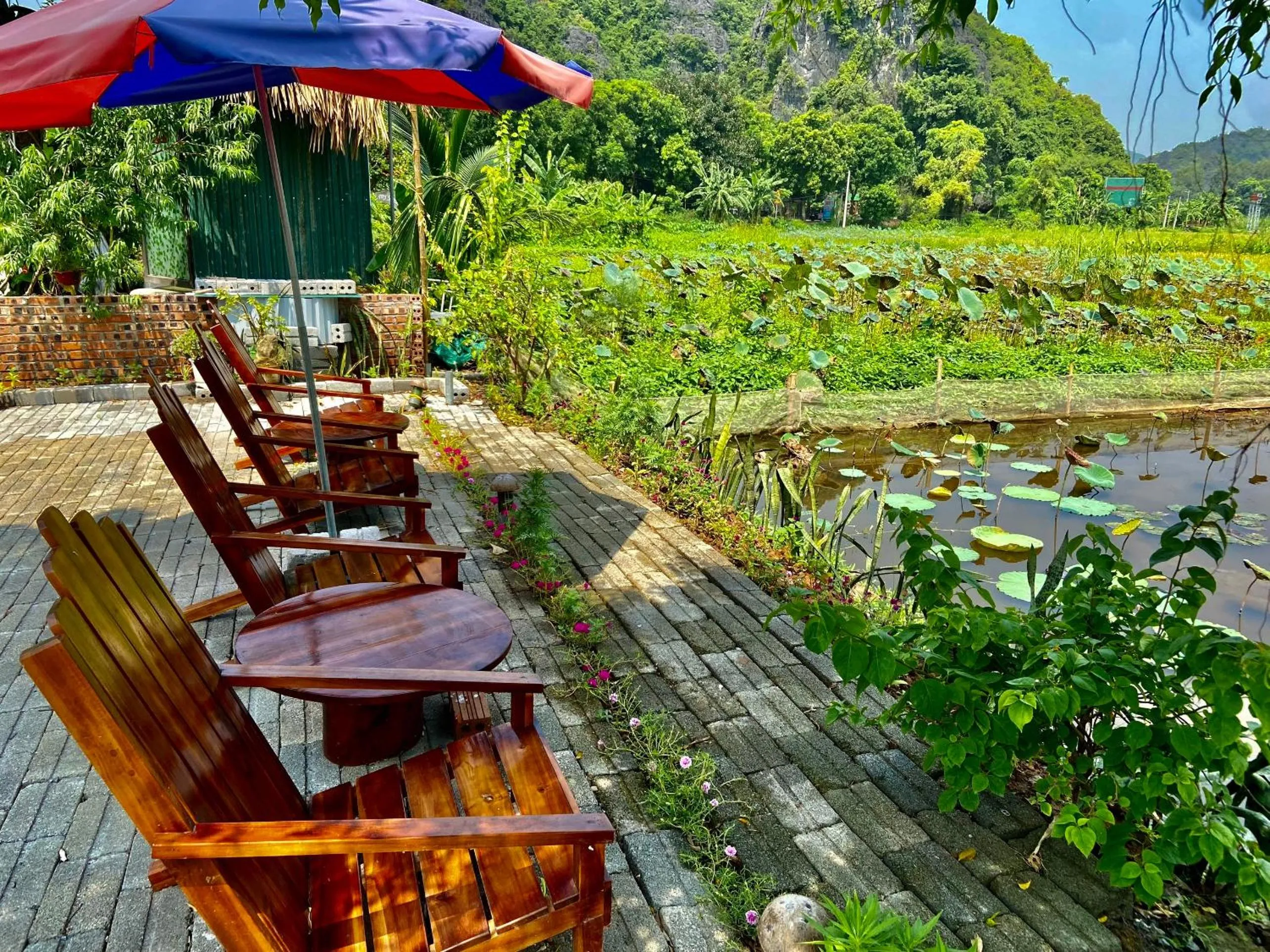 Tam Coc Mountain View Homestay