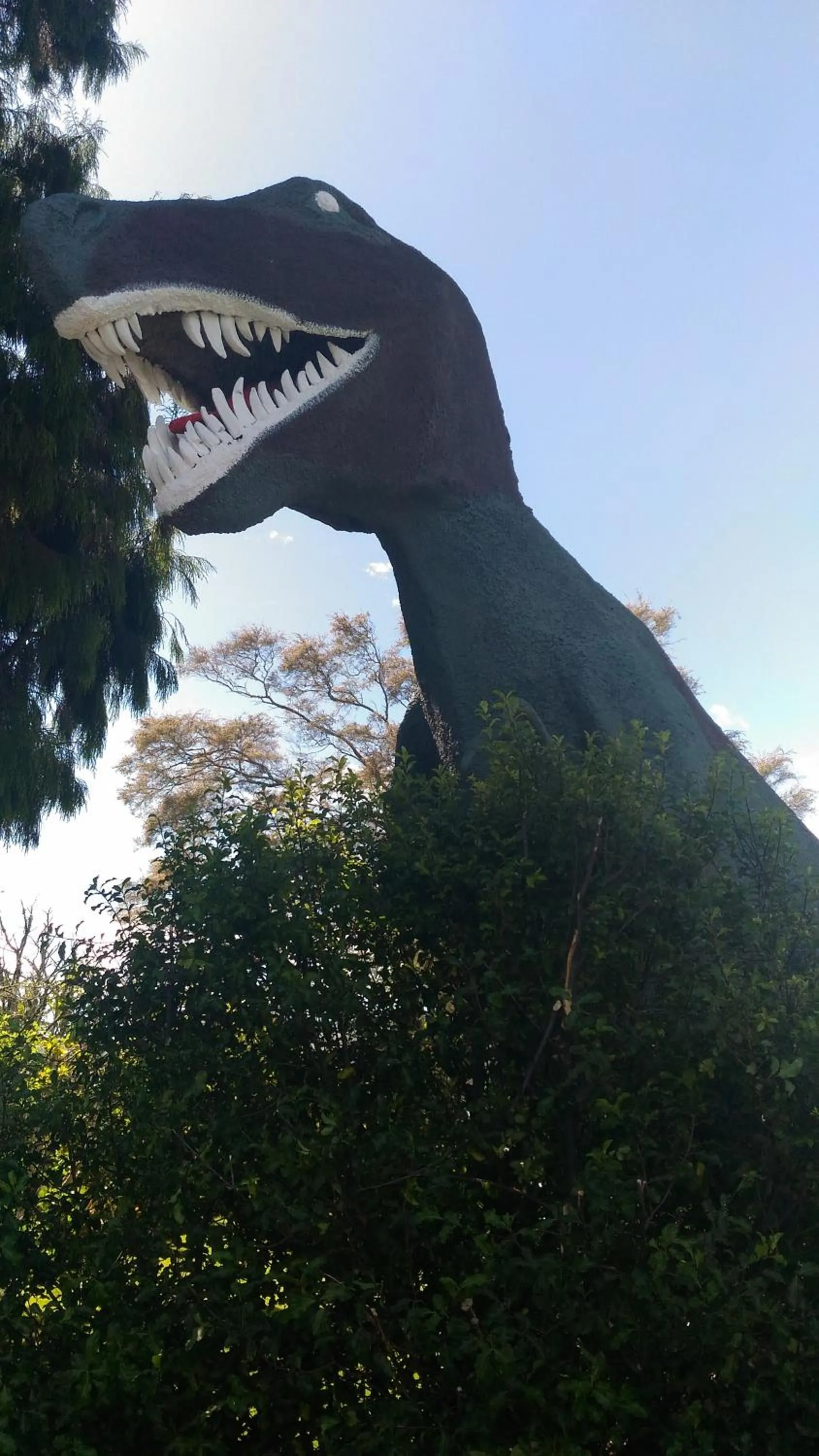 Decorative detail in All Seasons Holiday Park