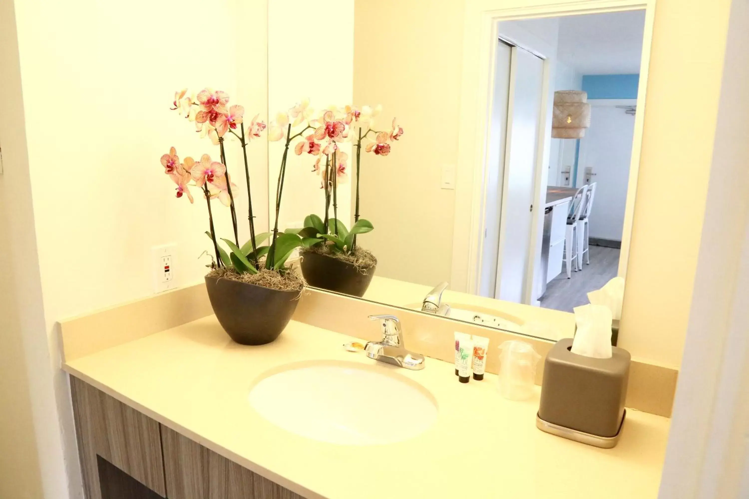 Standard Double Queen Room in Fortuna Standard Double Queen Room in Fortuna