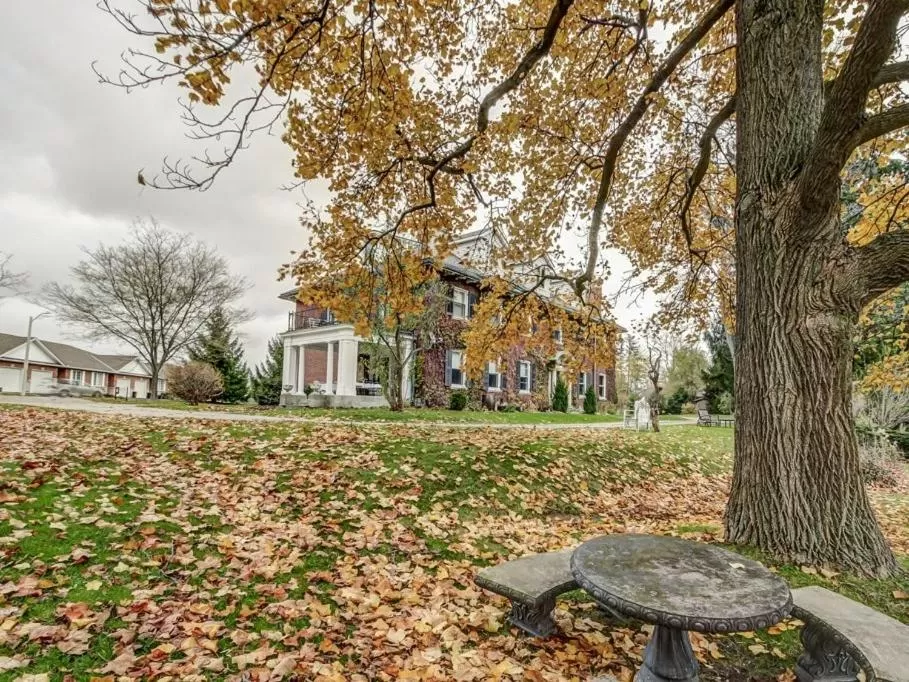Property building, Garden in Clonmel Castle