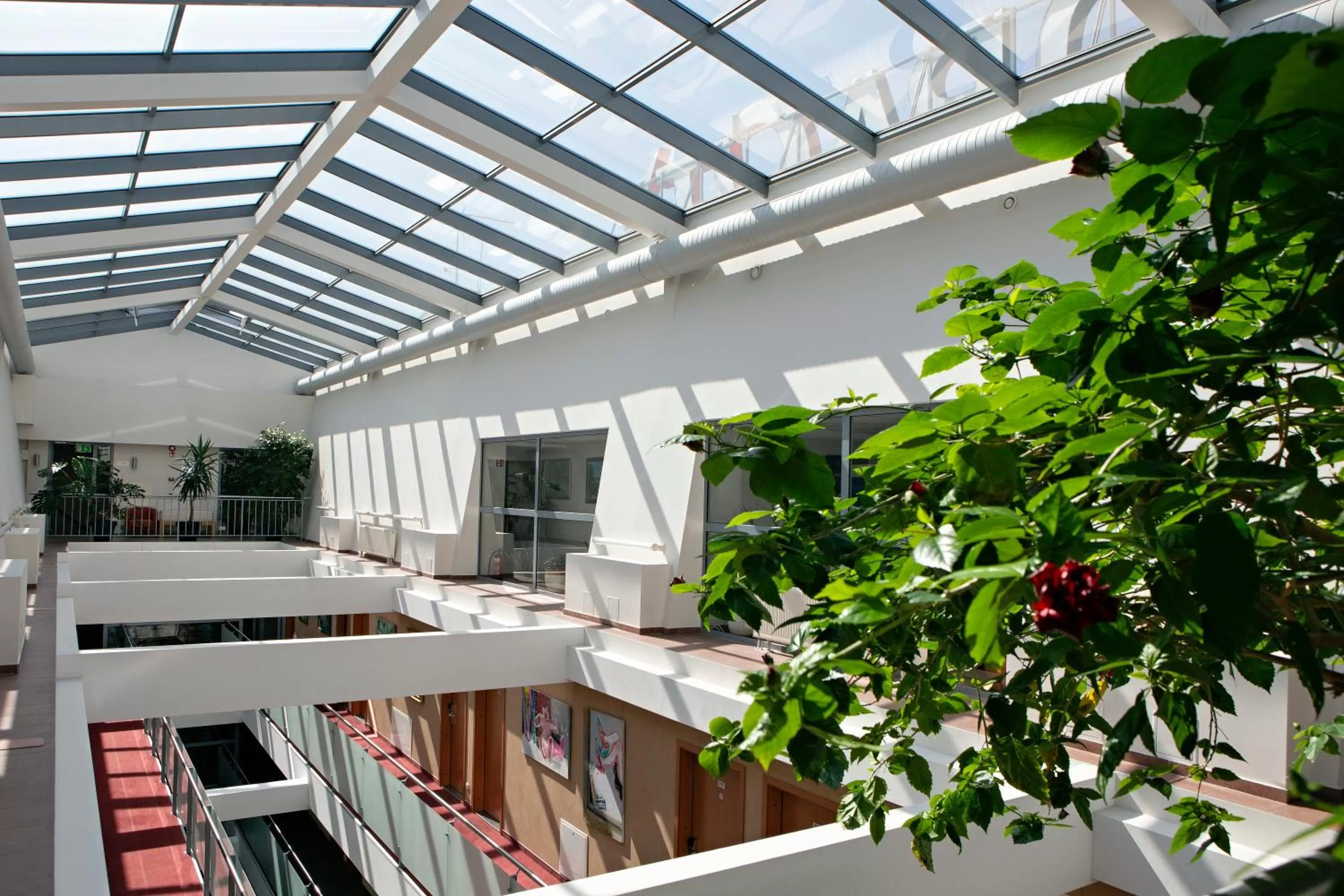 Area and facilities in Art City Inn