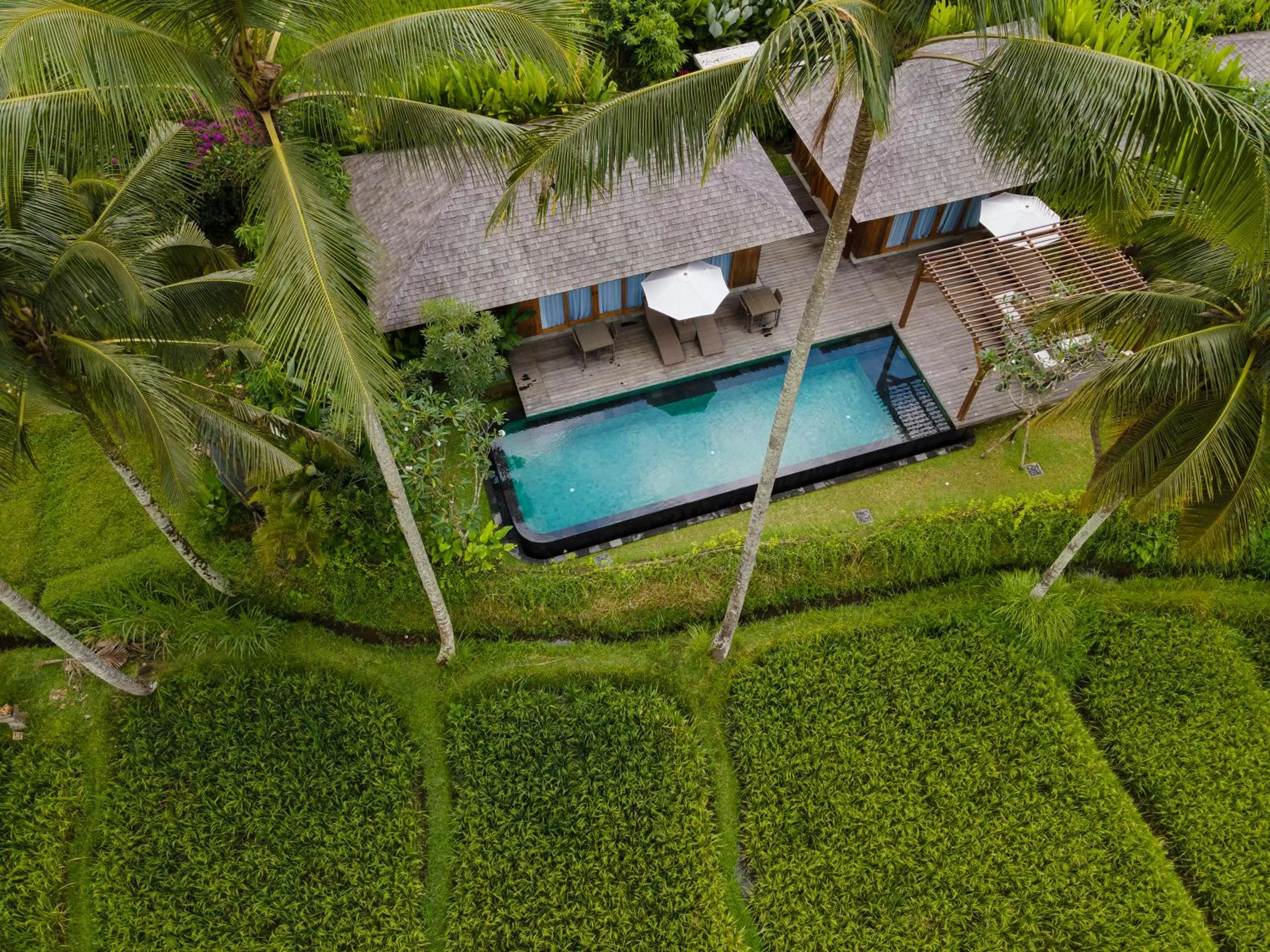Pool view in Kappa Senses Ubud