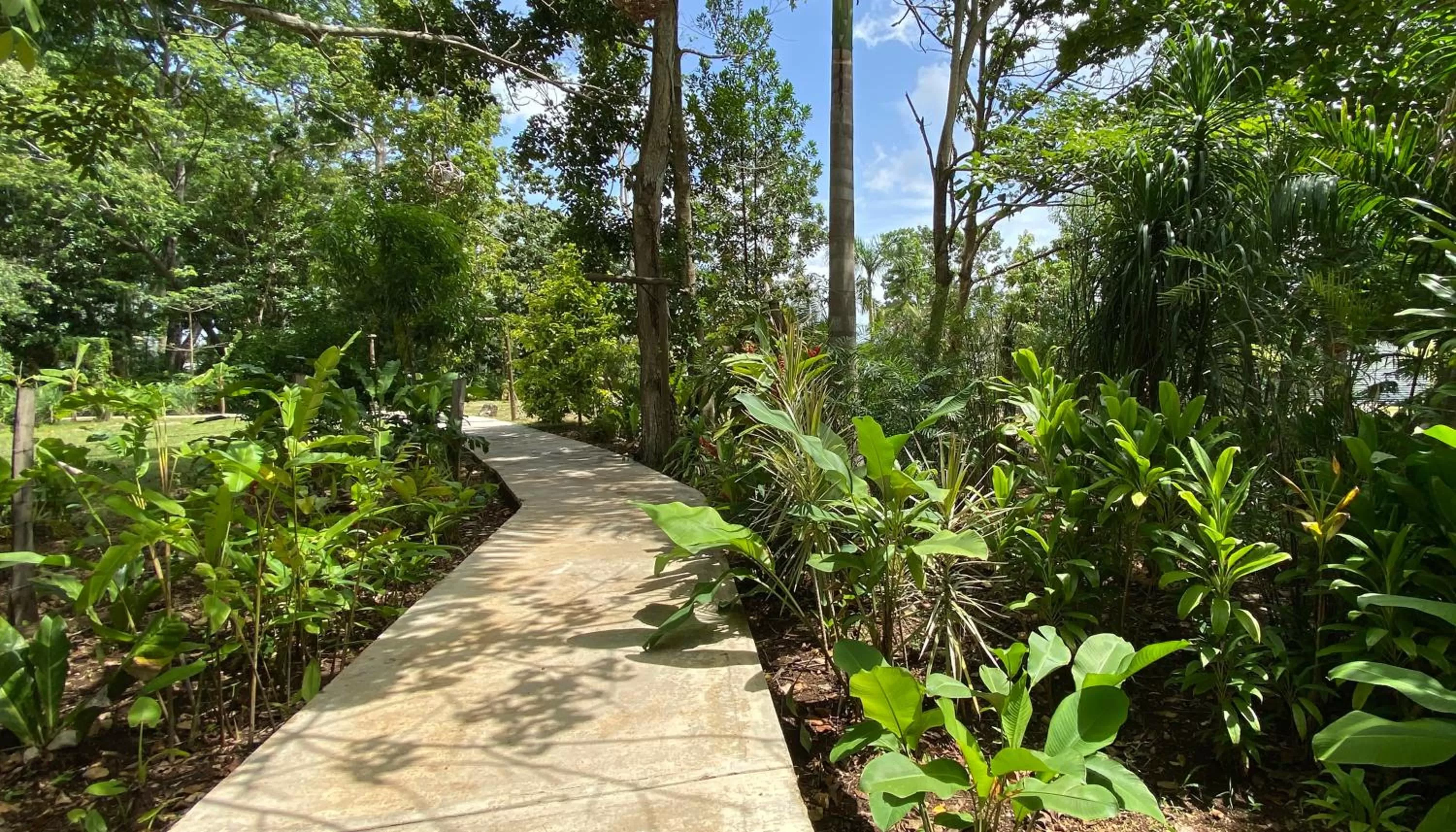 Patio in Hotel Maya Internacional