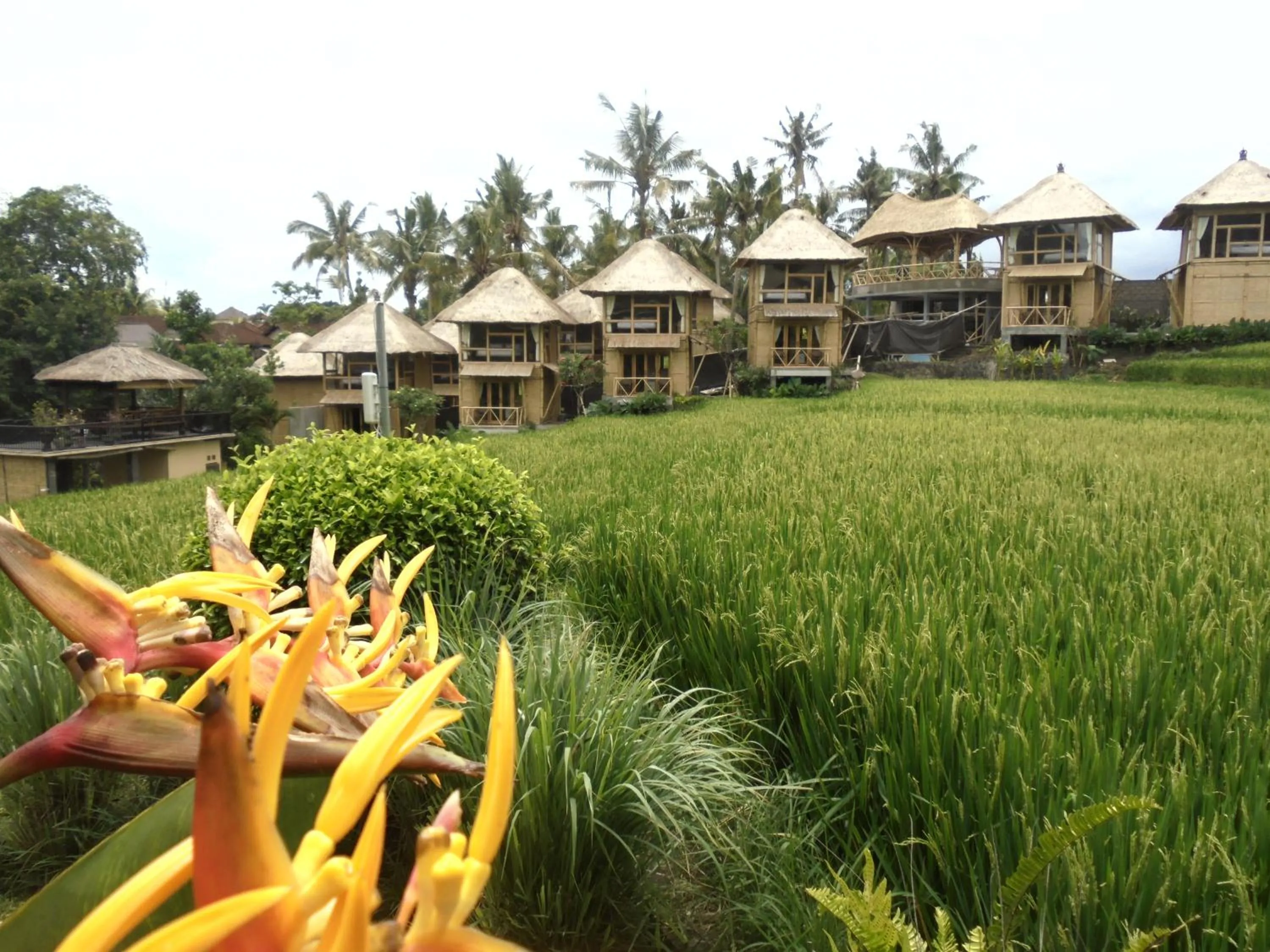 Day in Biyukukung Suite & Spa