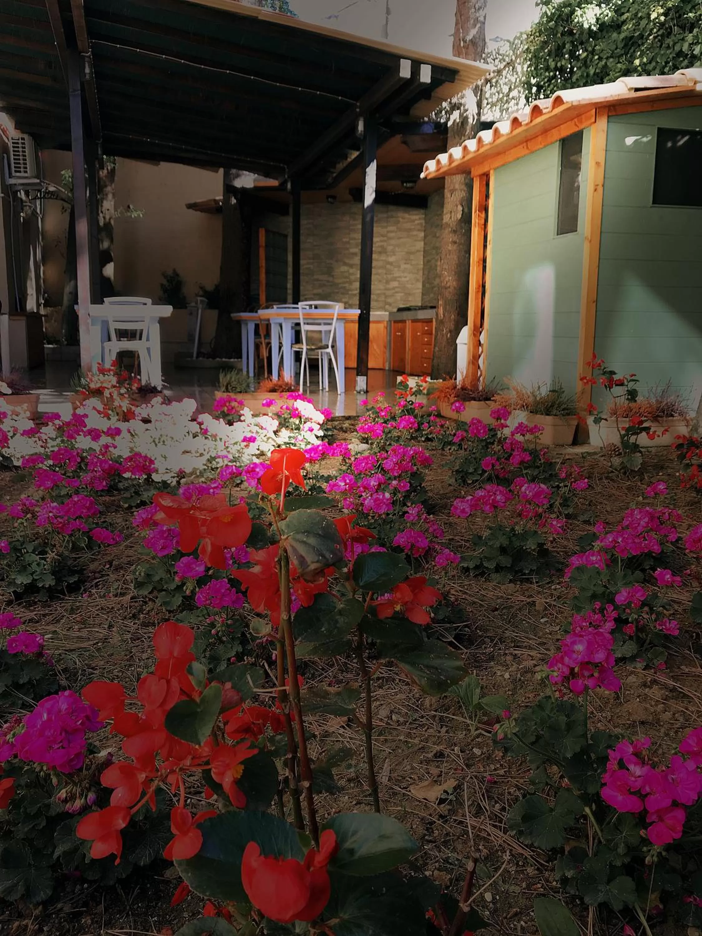 La casa di nonno Giulio