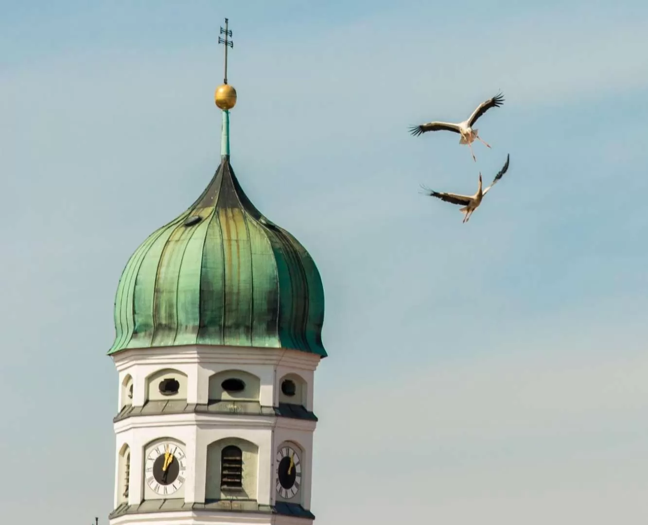 City view in SleepySleepy Hotel Dillingen
