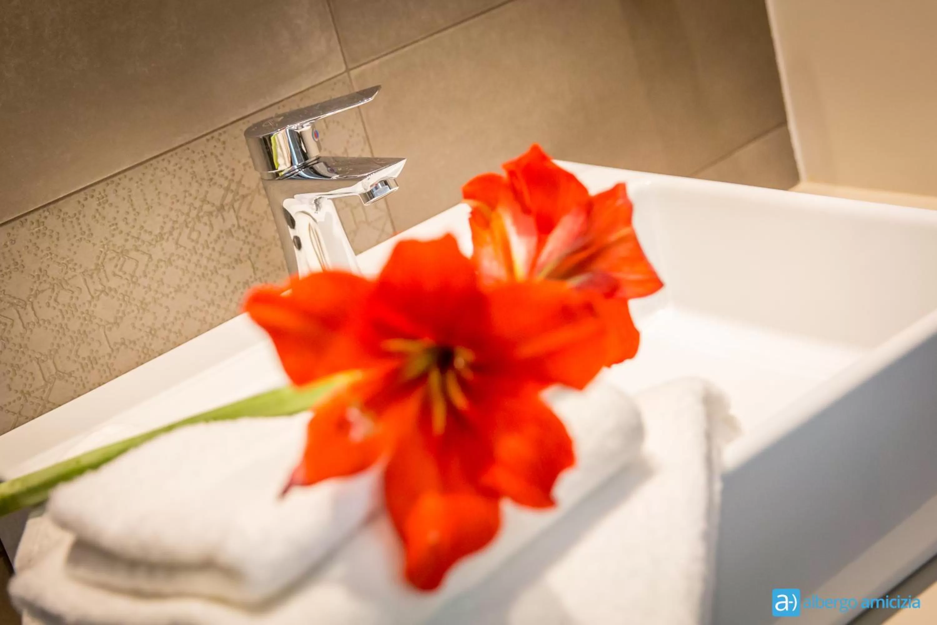 Decorative detail in Hotel Amicizia