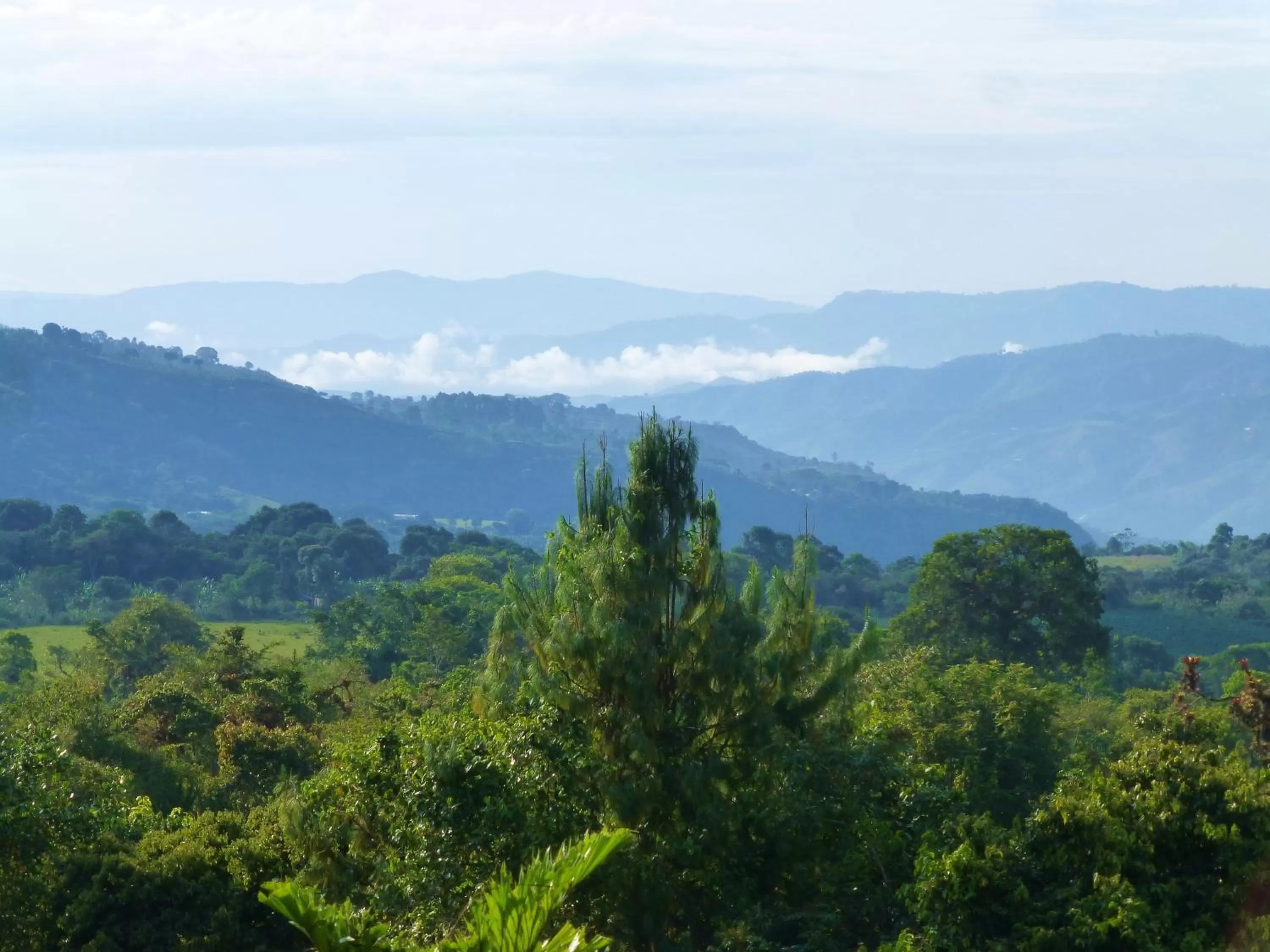 View (from property/room), Mountain View in Finca El Cielo