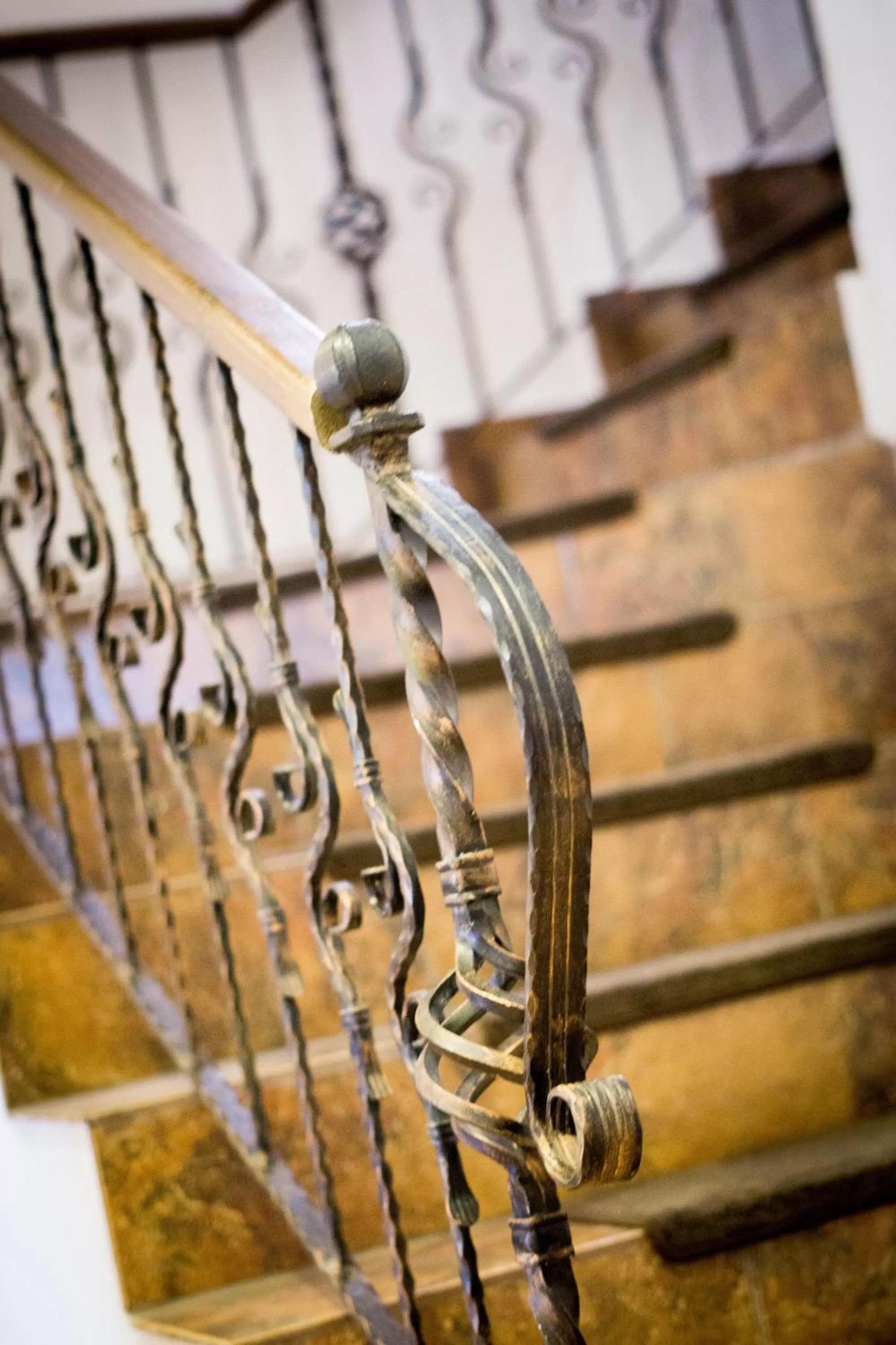 Property building in Nest