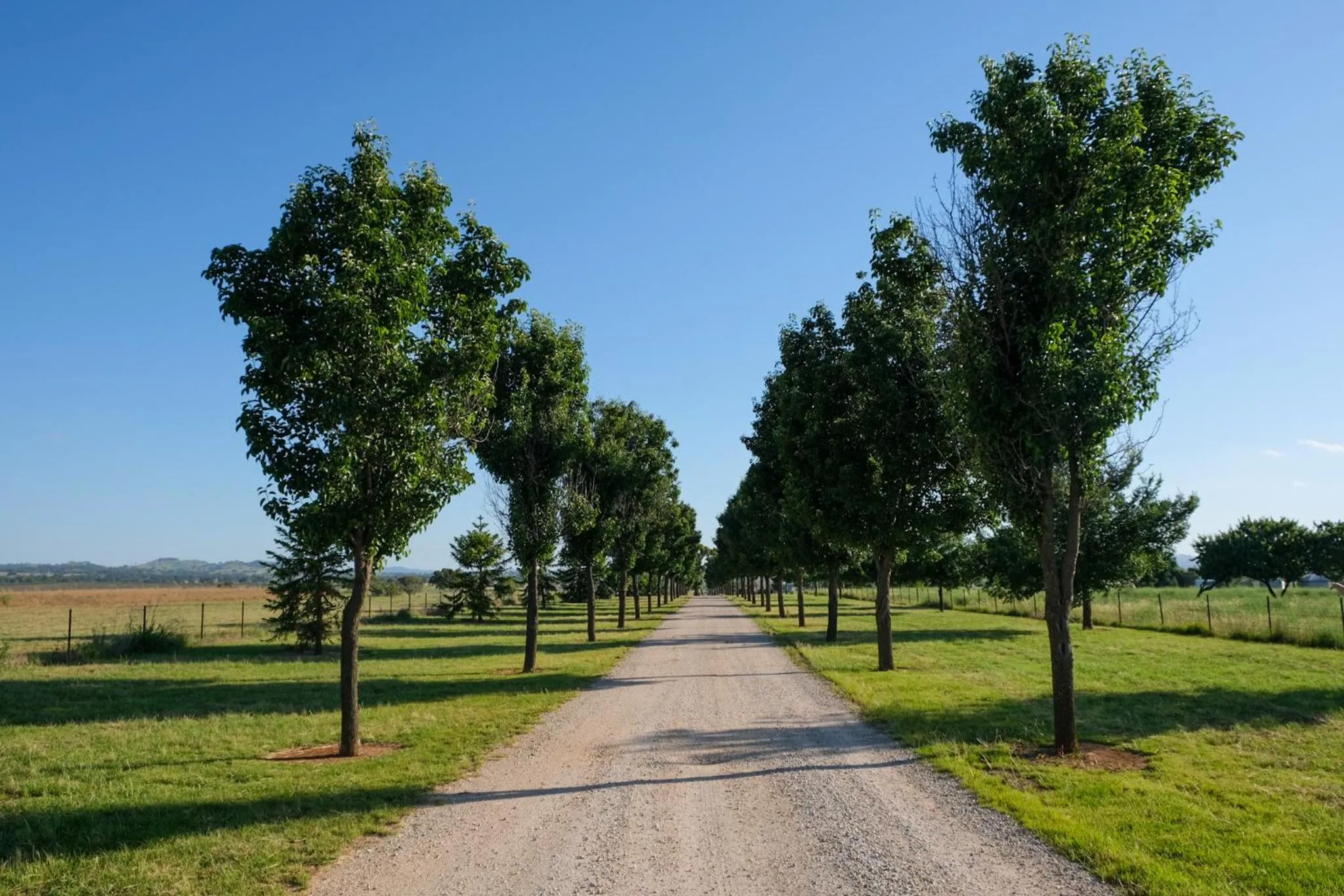 View (from property/room) in Owl Head Lodge