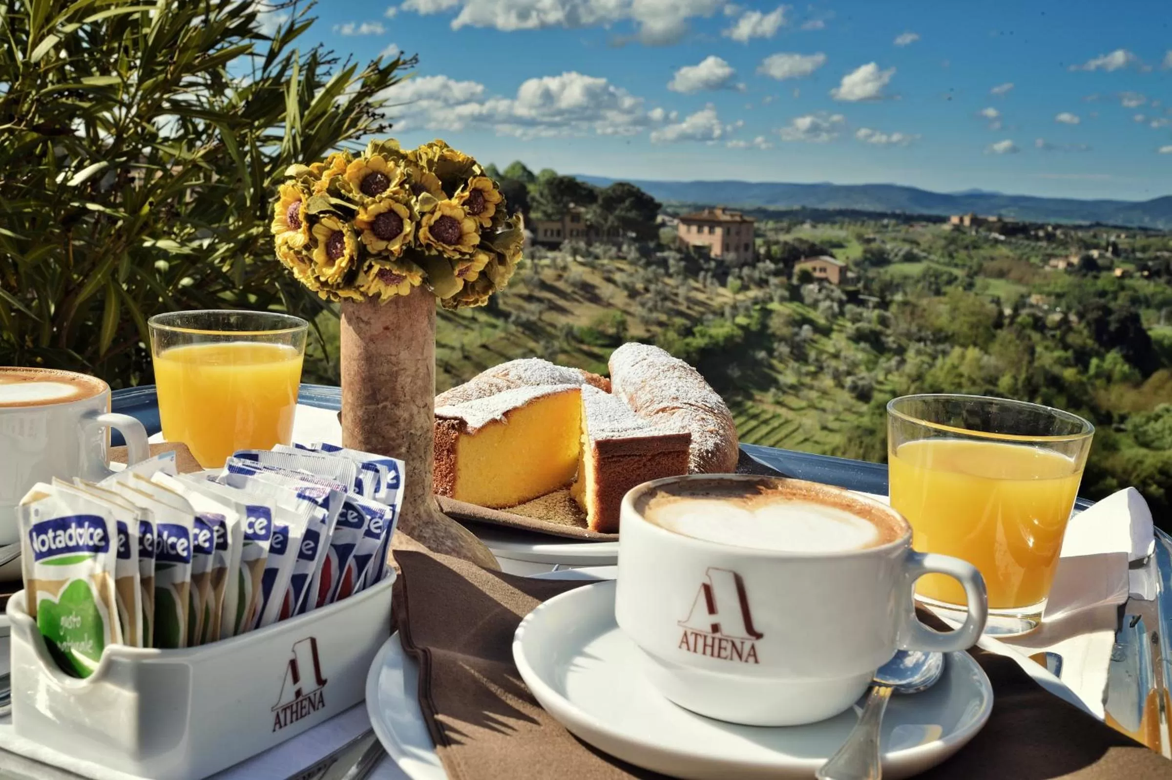 Balcony/Terrace in Hotel Athena