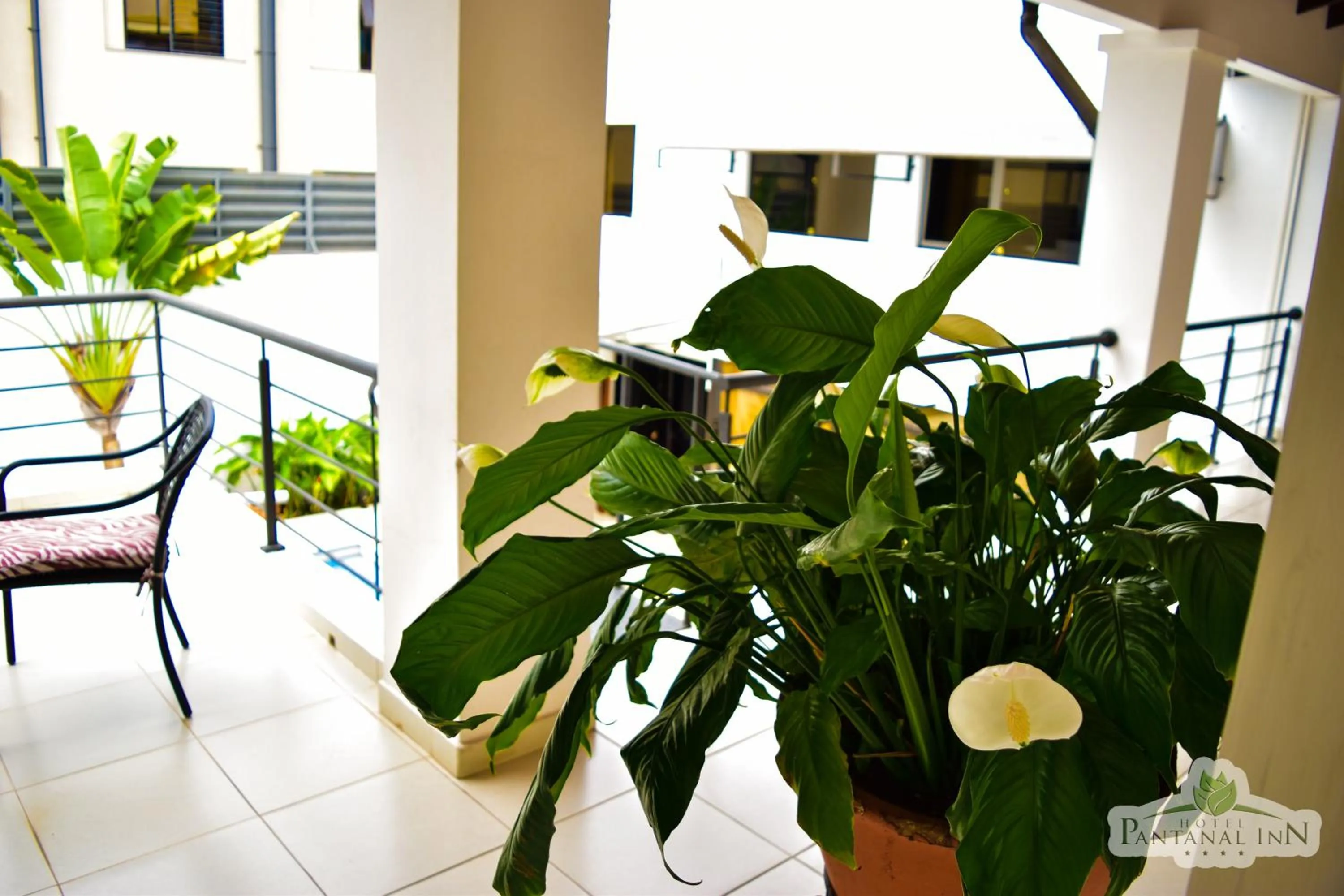 Balcony/Terrace in Hotel Pantanal Inn