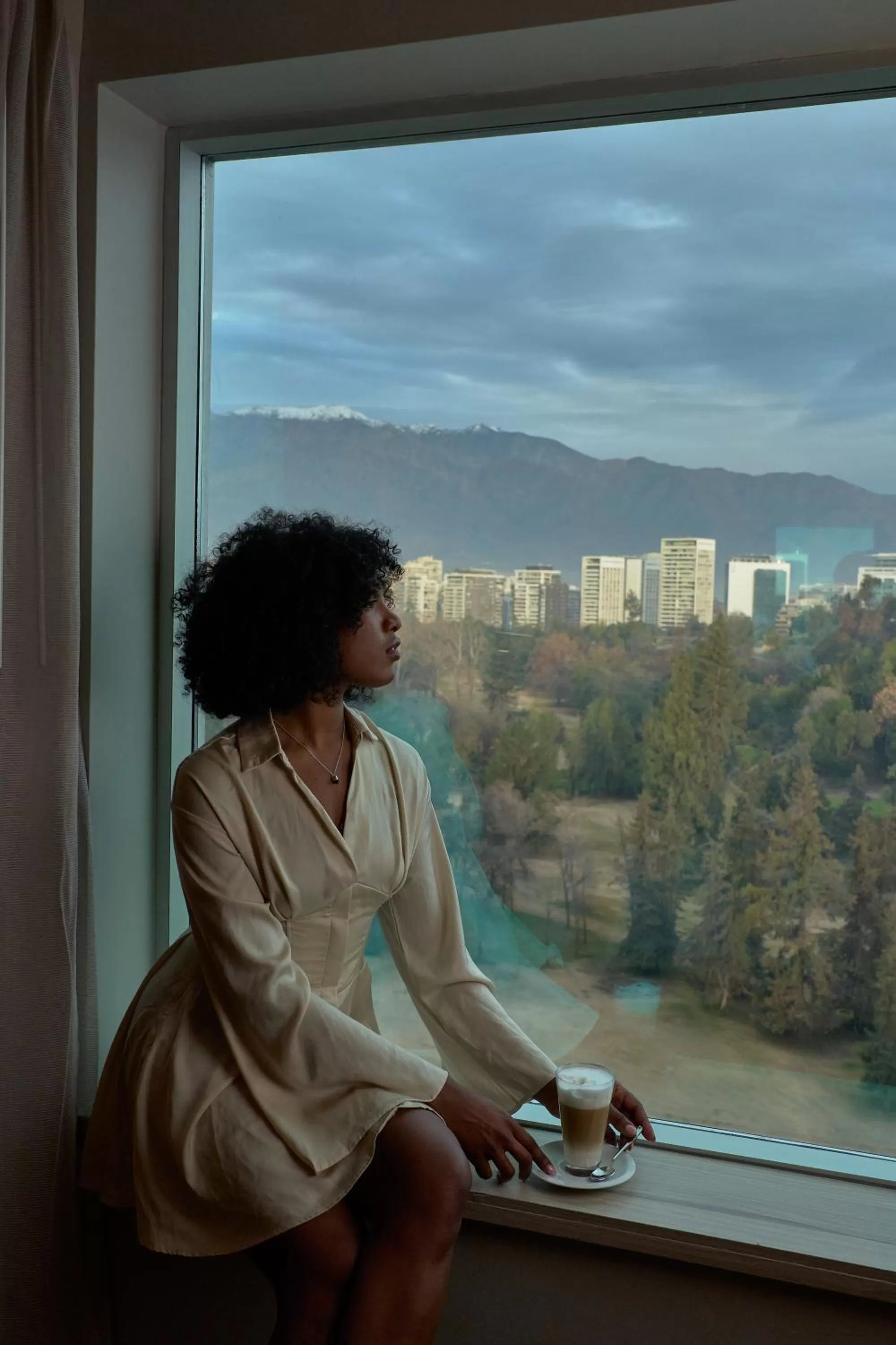 Natural landscape in Pullman Santiago Vitacura