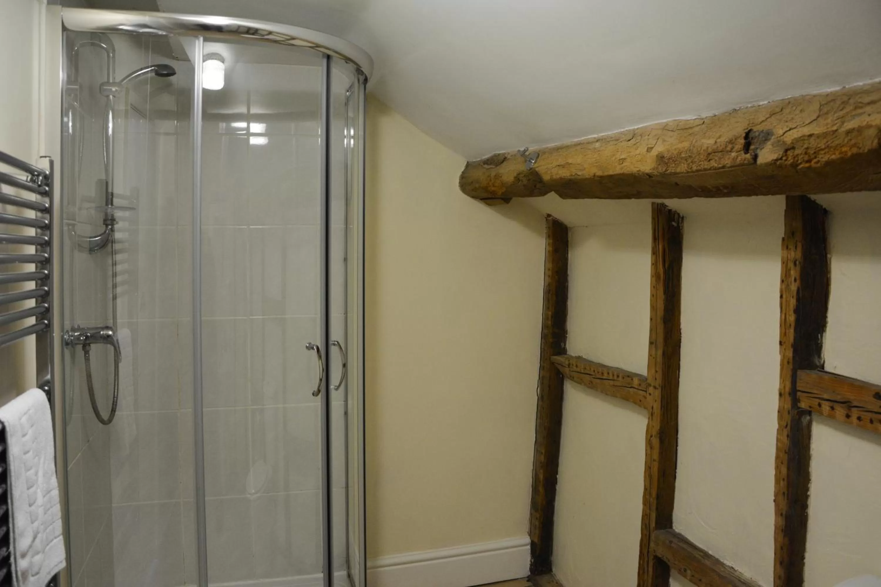 Shower in Llanerch Inn
