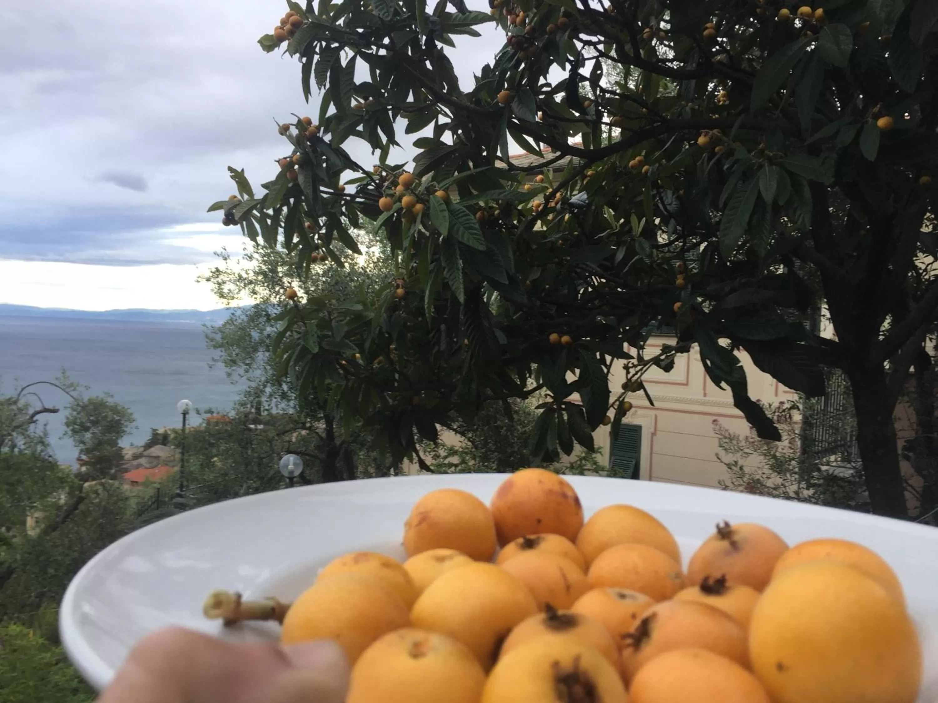 Property building in B&B Case Rosse