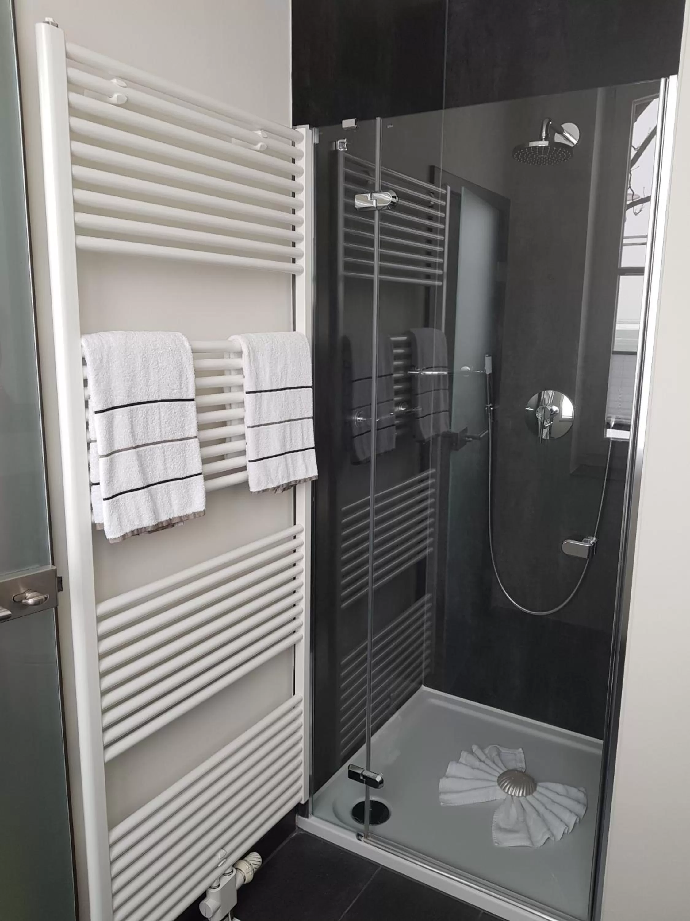 Shower in Hotel Hafenresidenz Stralsund