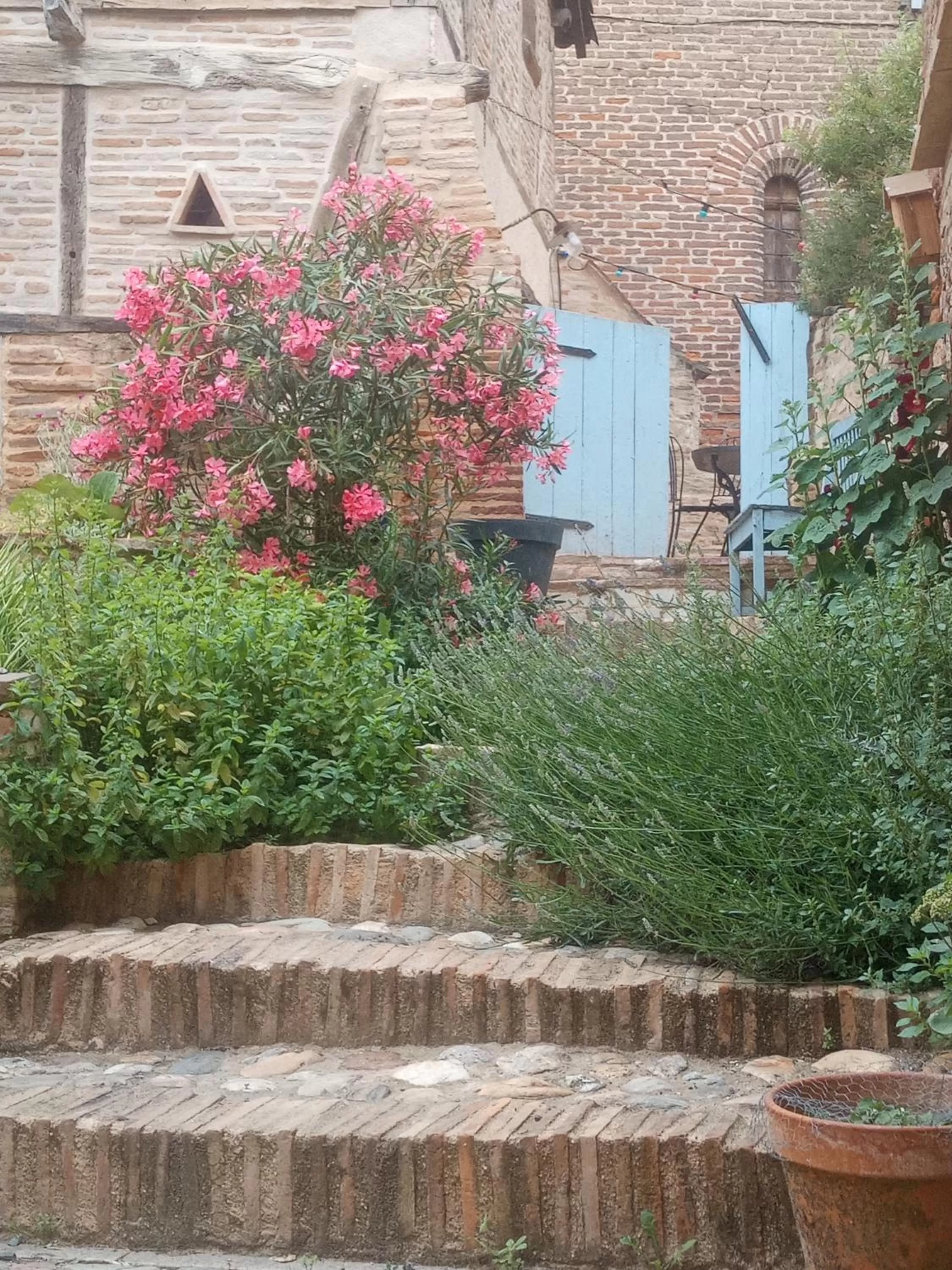 Garden in La lauze et l'anguille