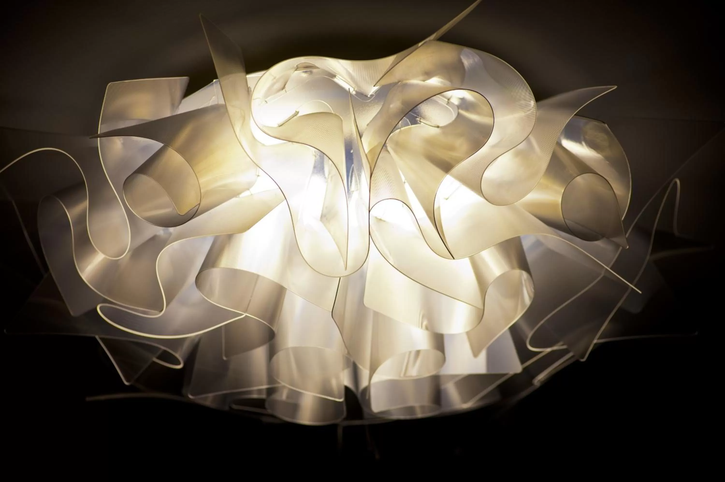 Decorative detail in Domus Fontis