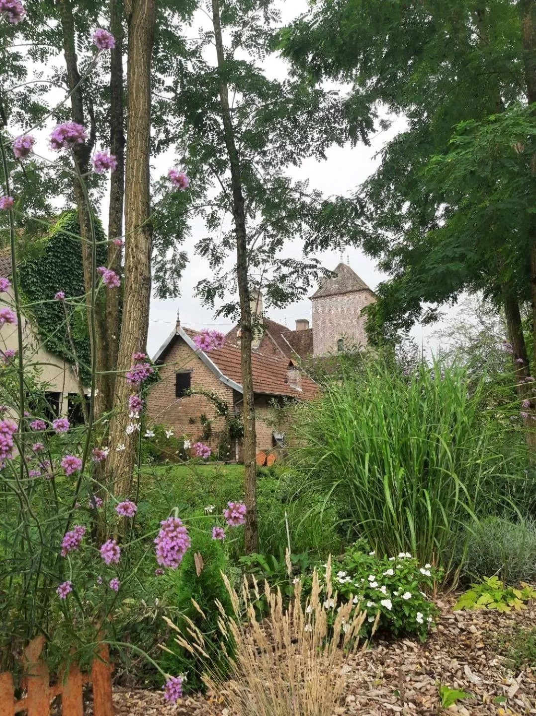 Garden, Property Building in chambre d'hôtes Madame