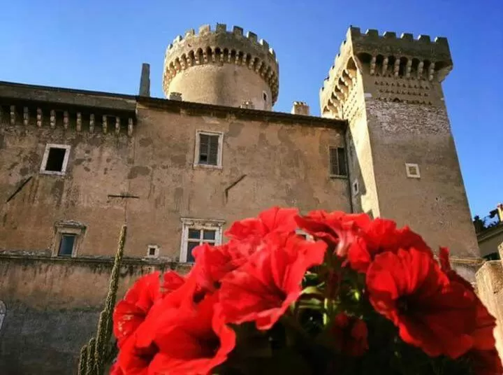 Property Building in Antica Corte del Castello