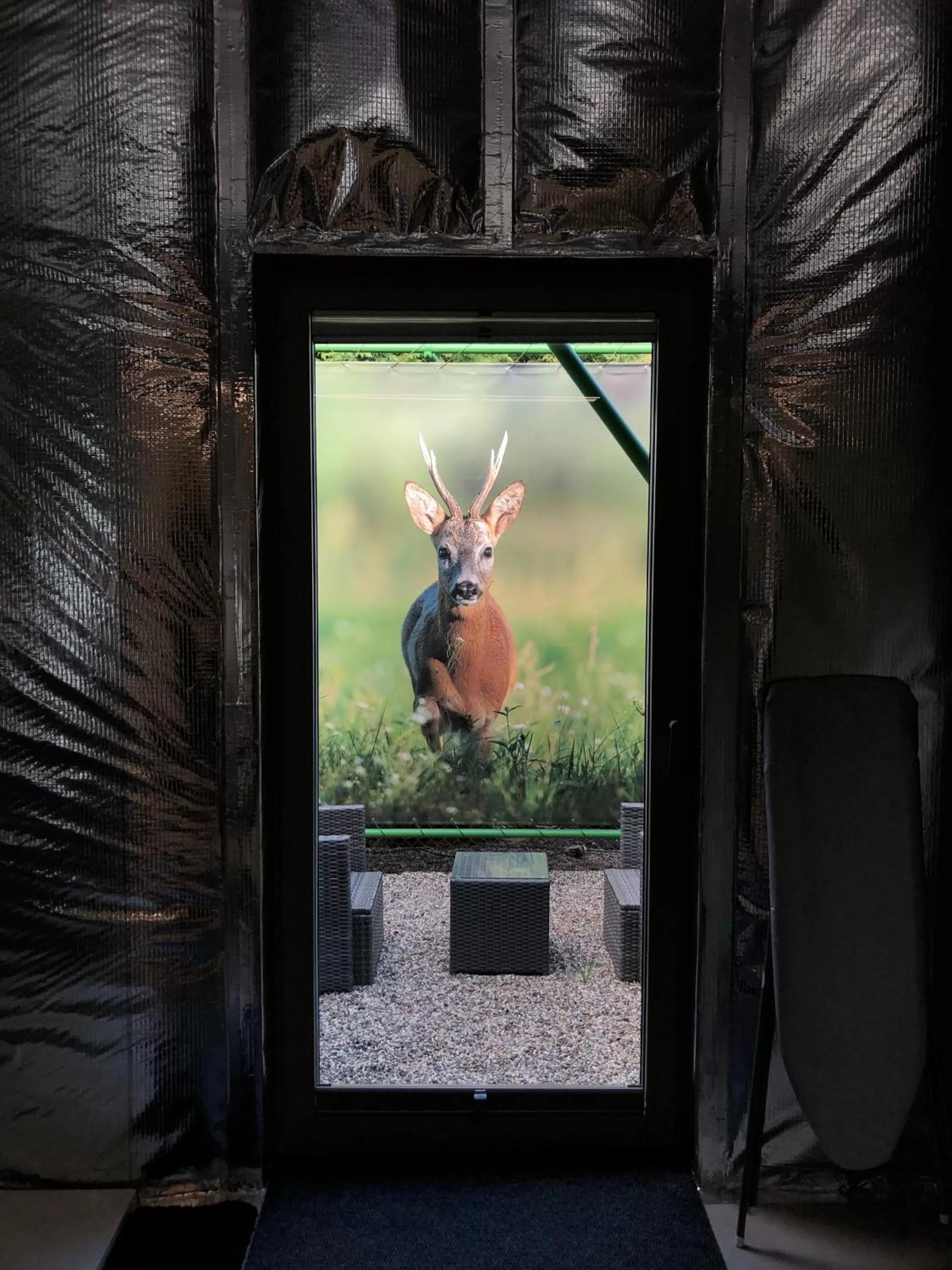 Balcony/Terrace in Hotel 49