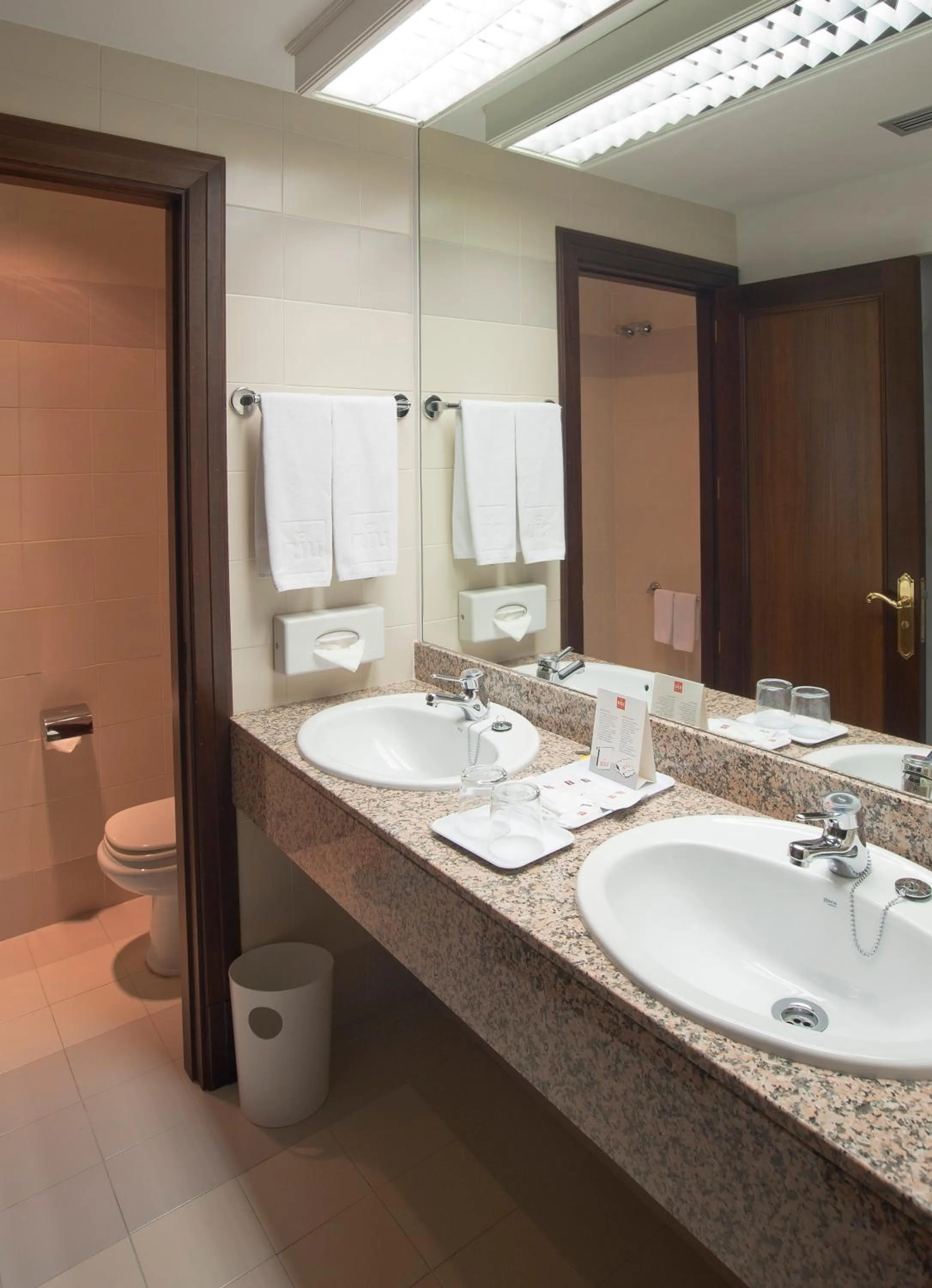 Bathroom in Hotel Riu Fluviá