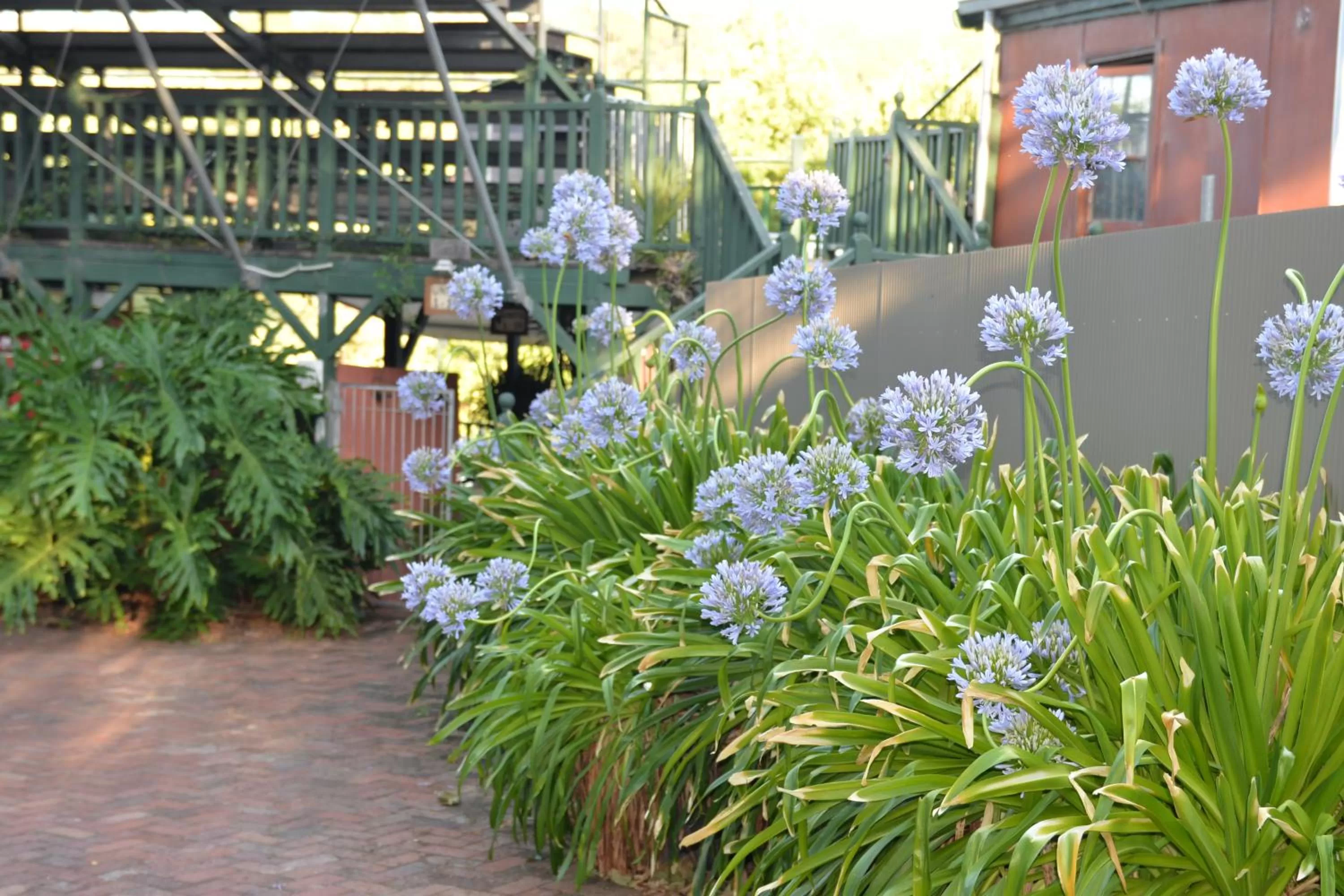 Garden in Mundaring Weir Hotel