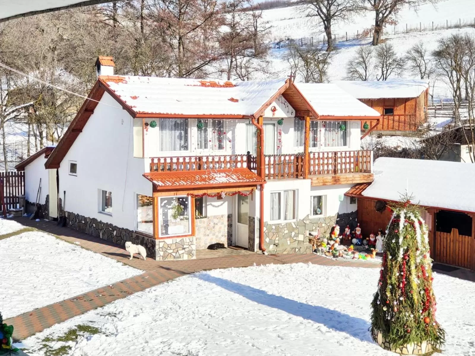 Property building in Pensiunea SilvAnka