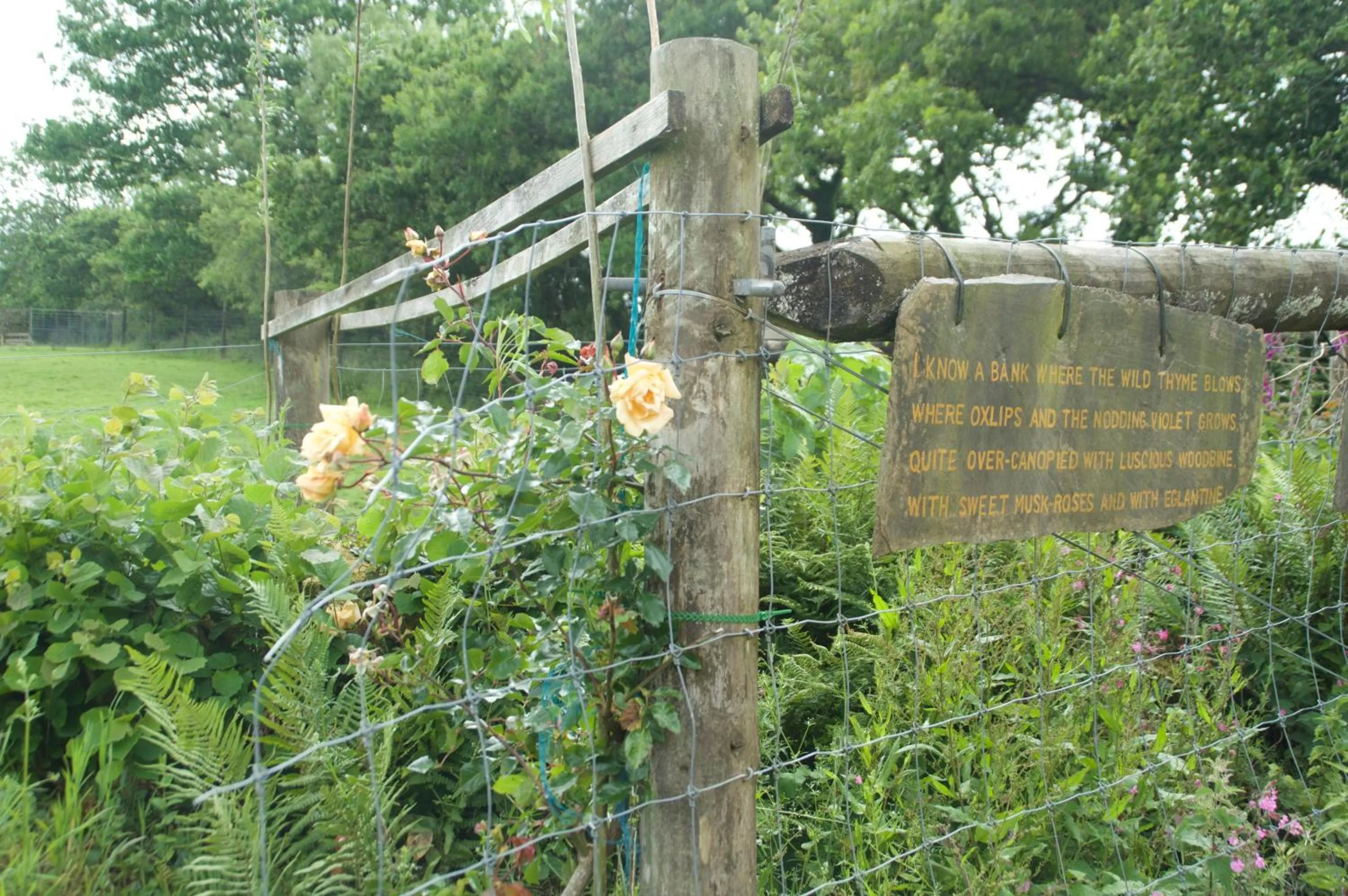 Garden view in The Old Deer House