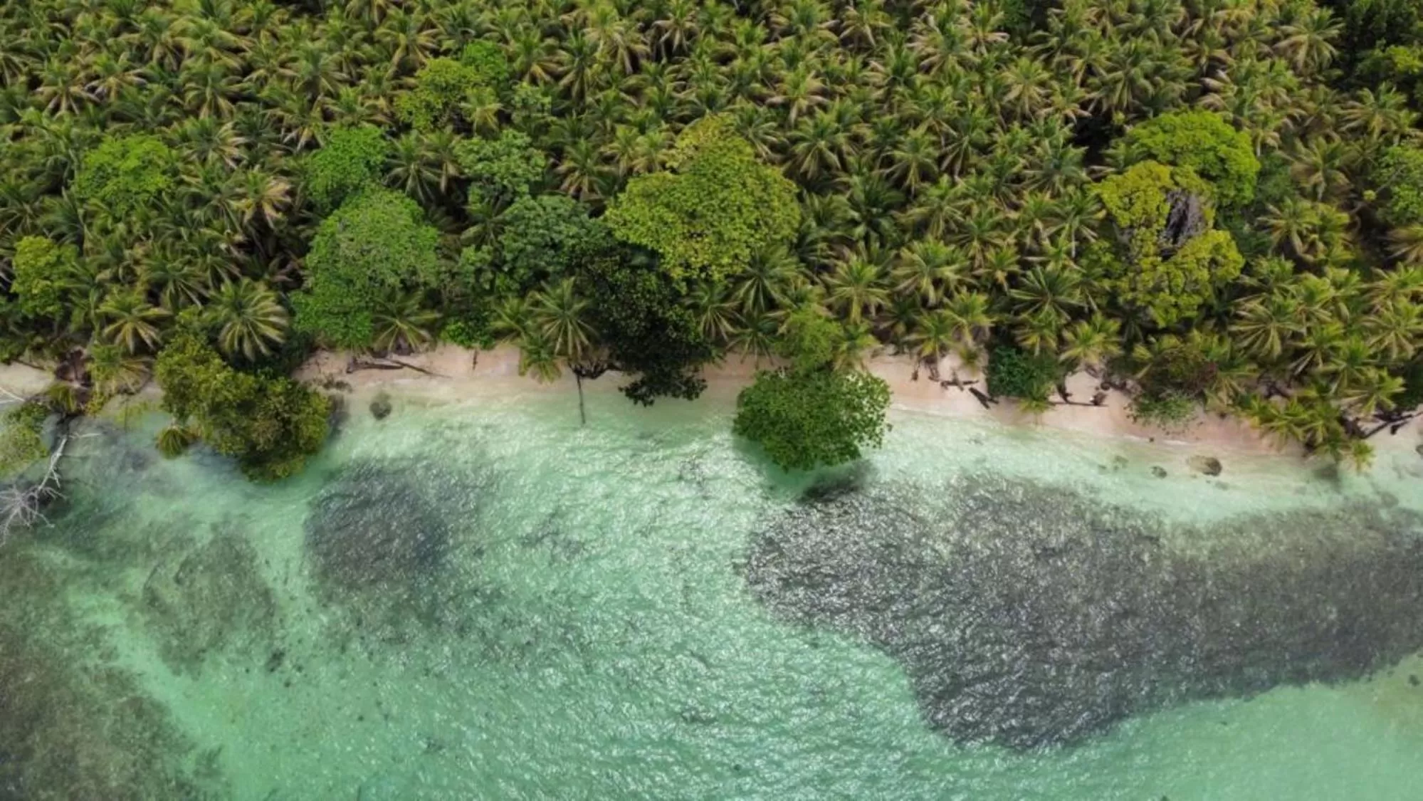 Natural landscape, Bird's-eye View in RIVA B&B