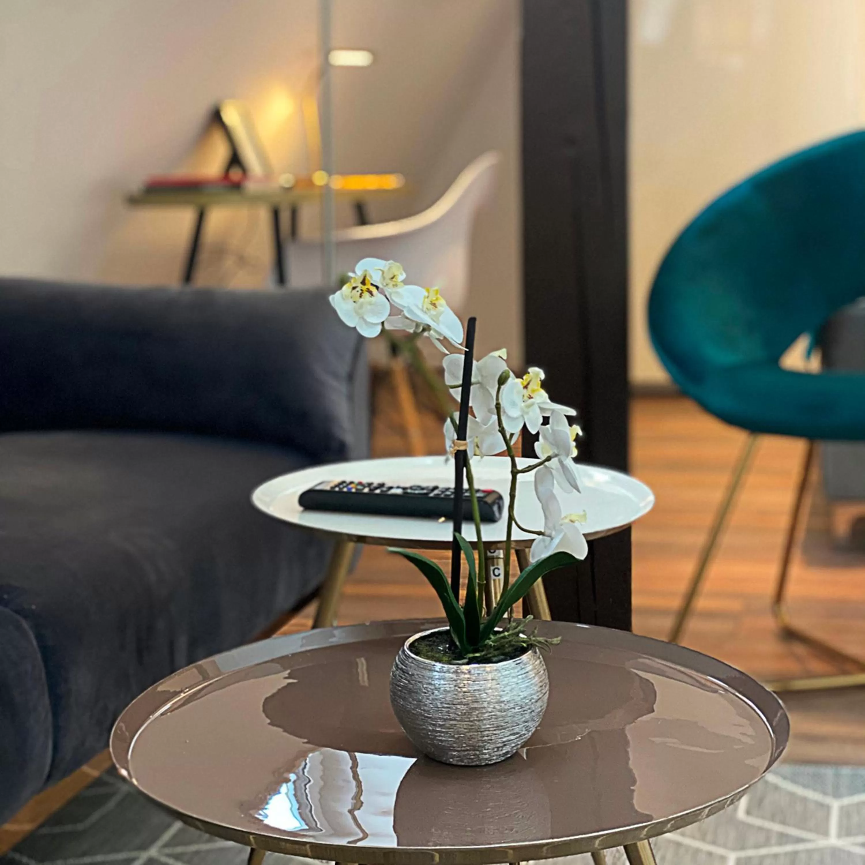 Living room in Nurban Apartments Oldtown