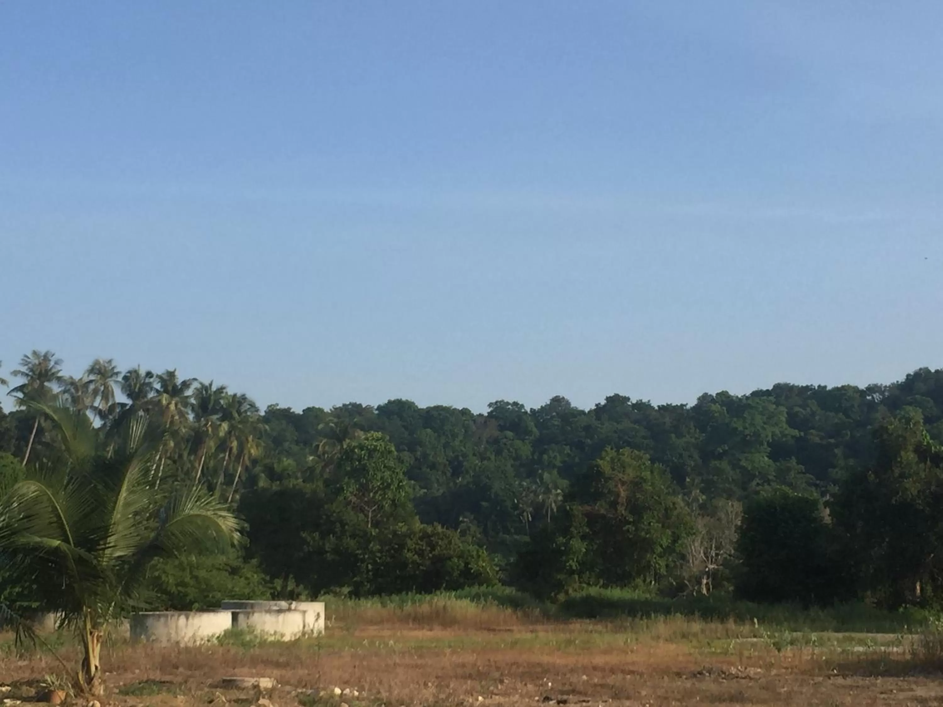 Natural landscape in Sayy Haa Inn