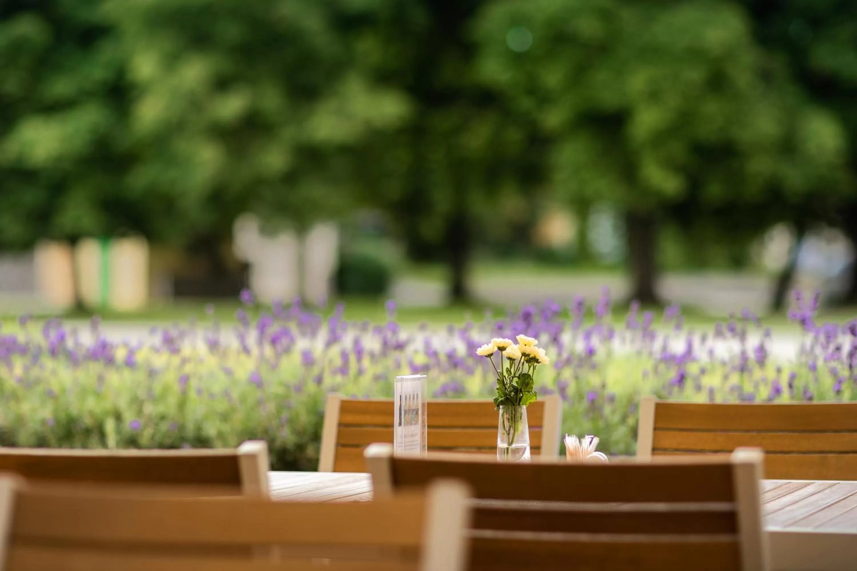 Restaurant/places to eat in Penzion Panský dvůr Telč