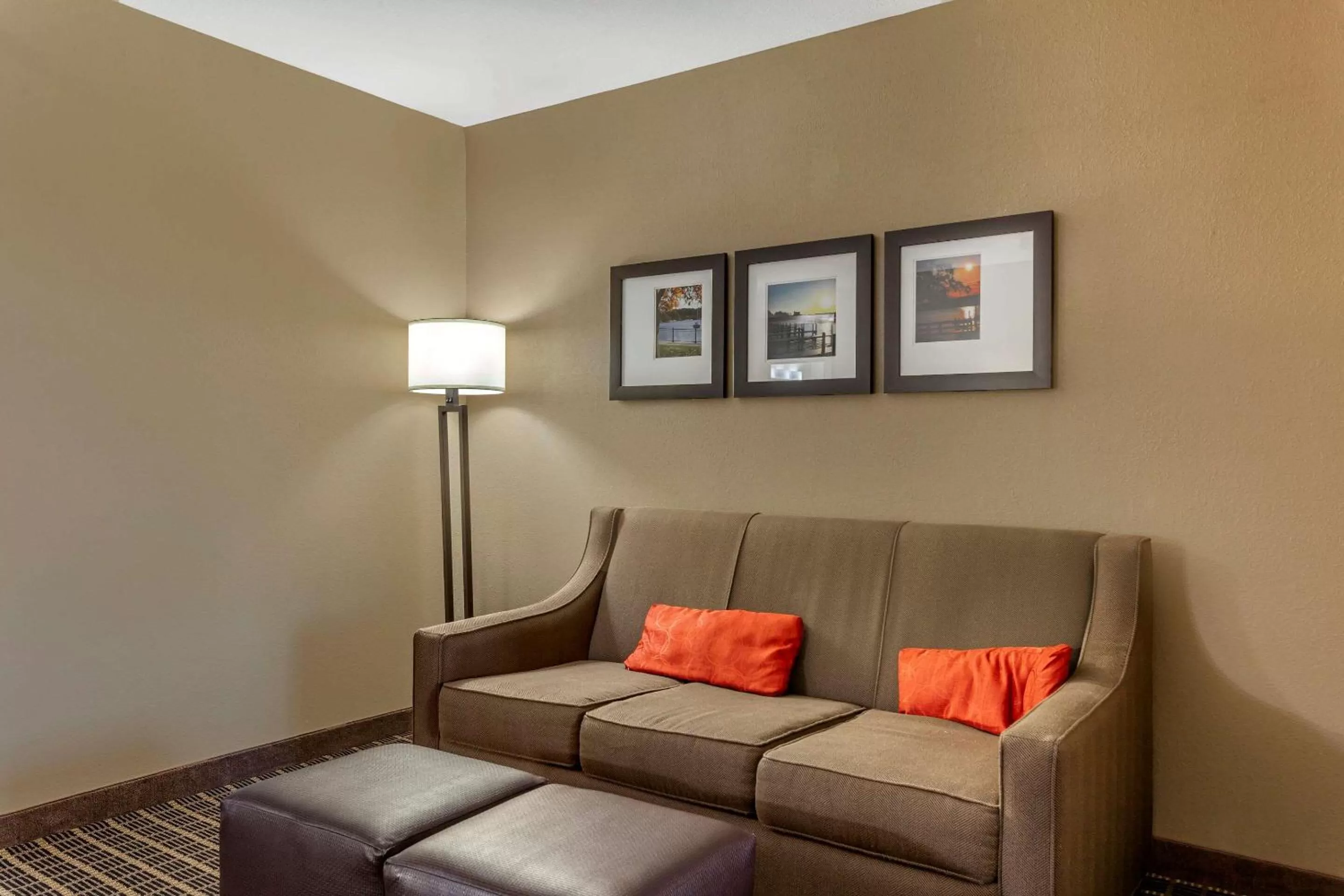 Photo of the whole room in Comfort Suites Delavan - Lake Geneva Area