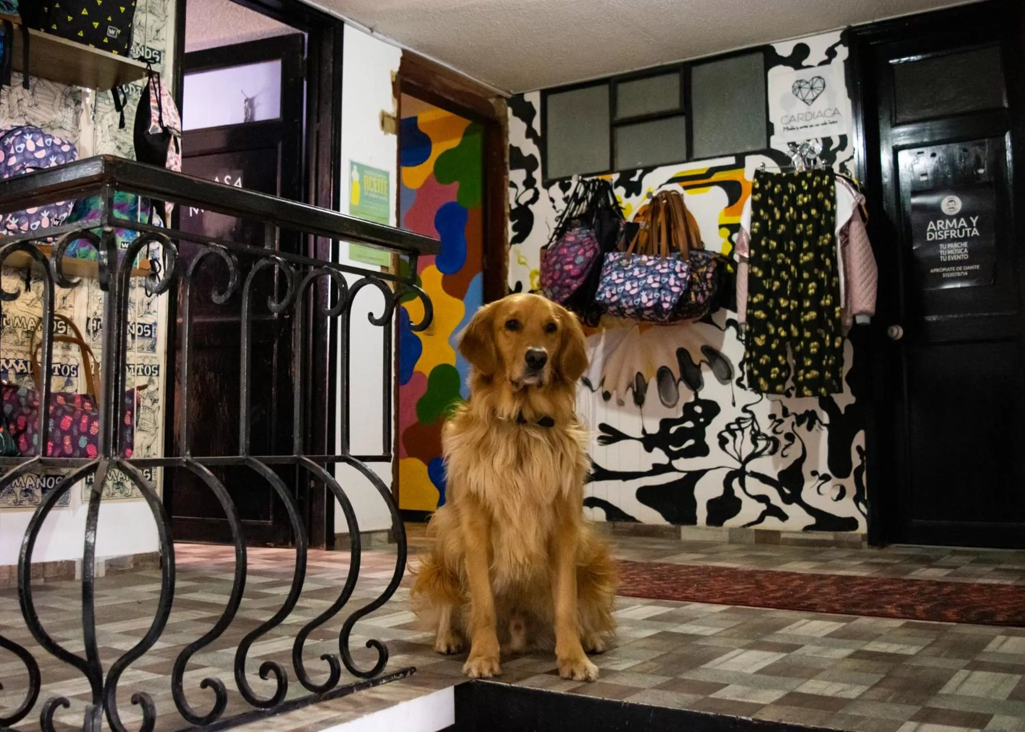 On-site shops, Pets in Casa Mood Usaquen