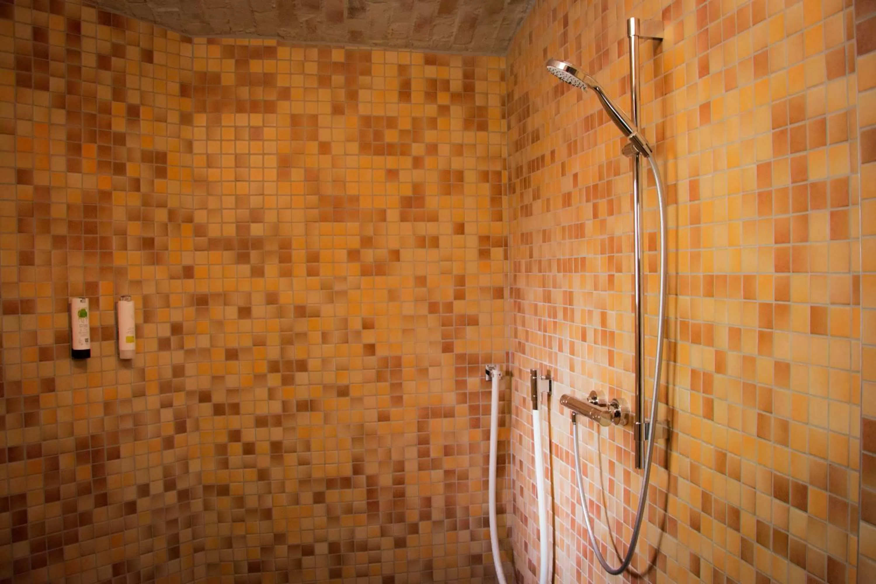 Spa and wellness centre/facilities in Lindenau Inn