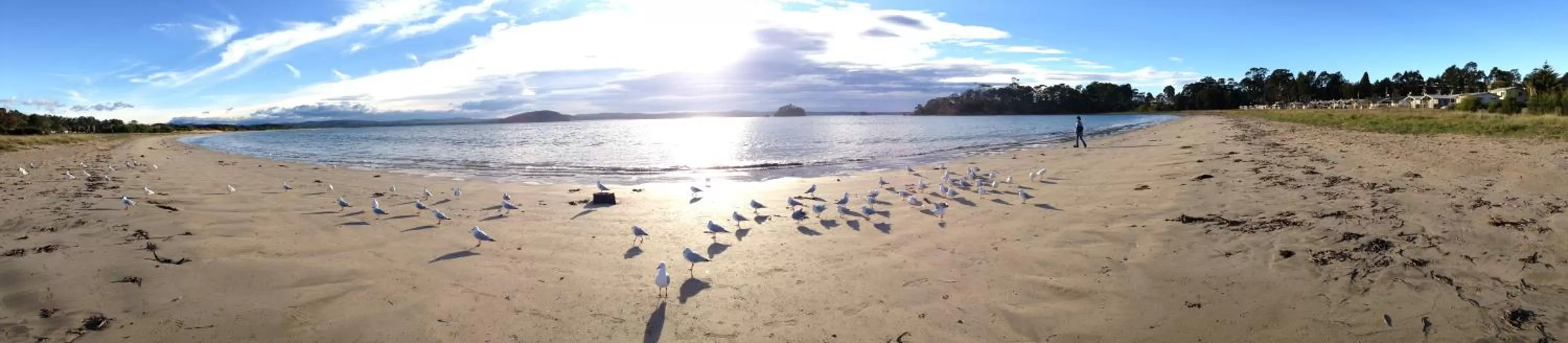 Beach in Corrigans Cove