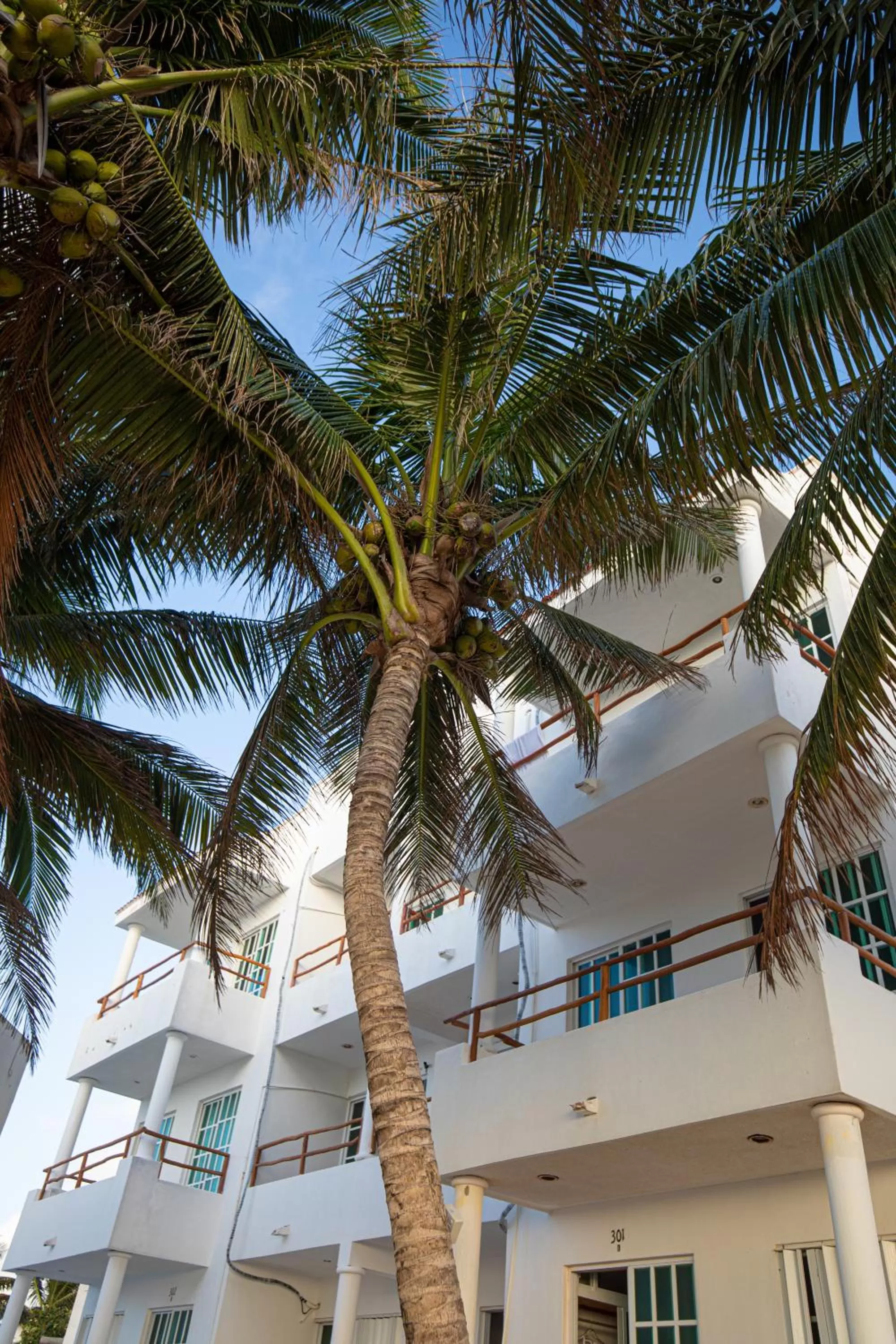 Property building in HOTEL & BEACH CLUB OJO DE AGUA